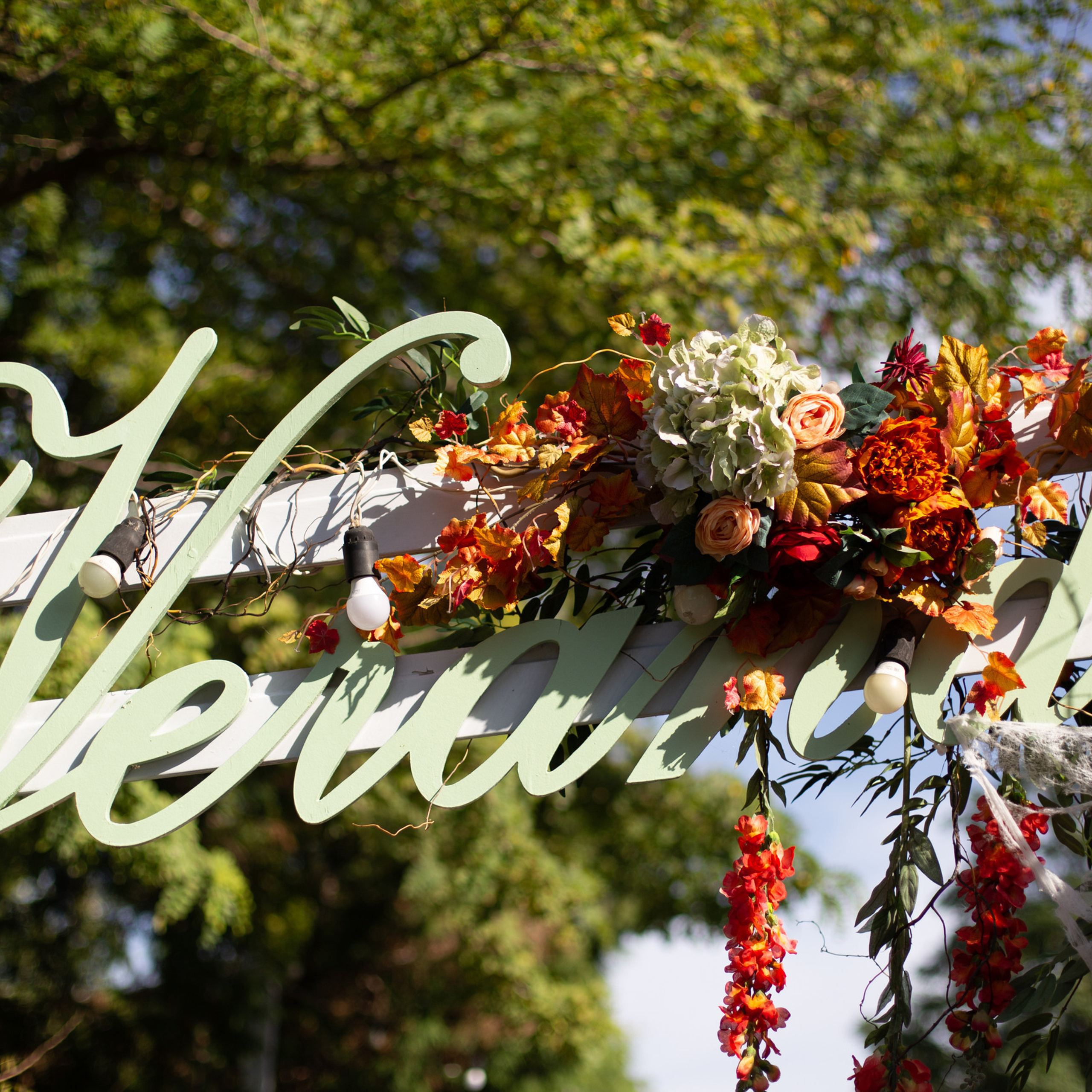 Отзывы о фотографе Александра Долбикова. Художественный фотограф Анапа Александра Долбикова