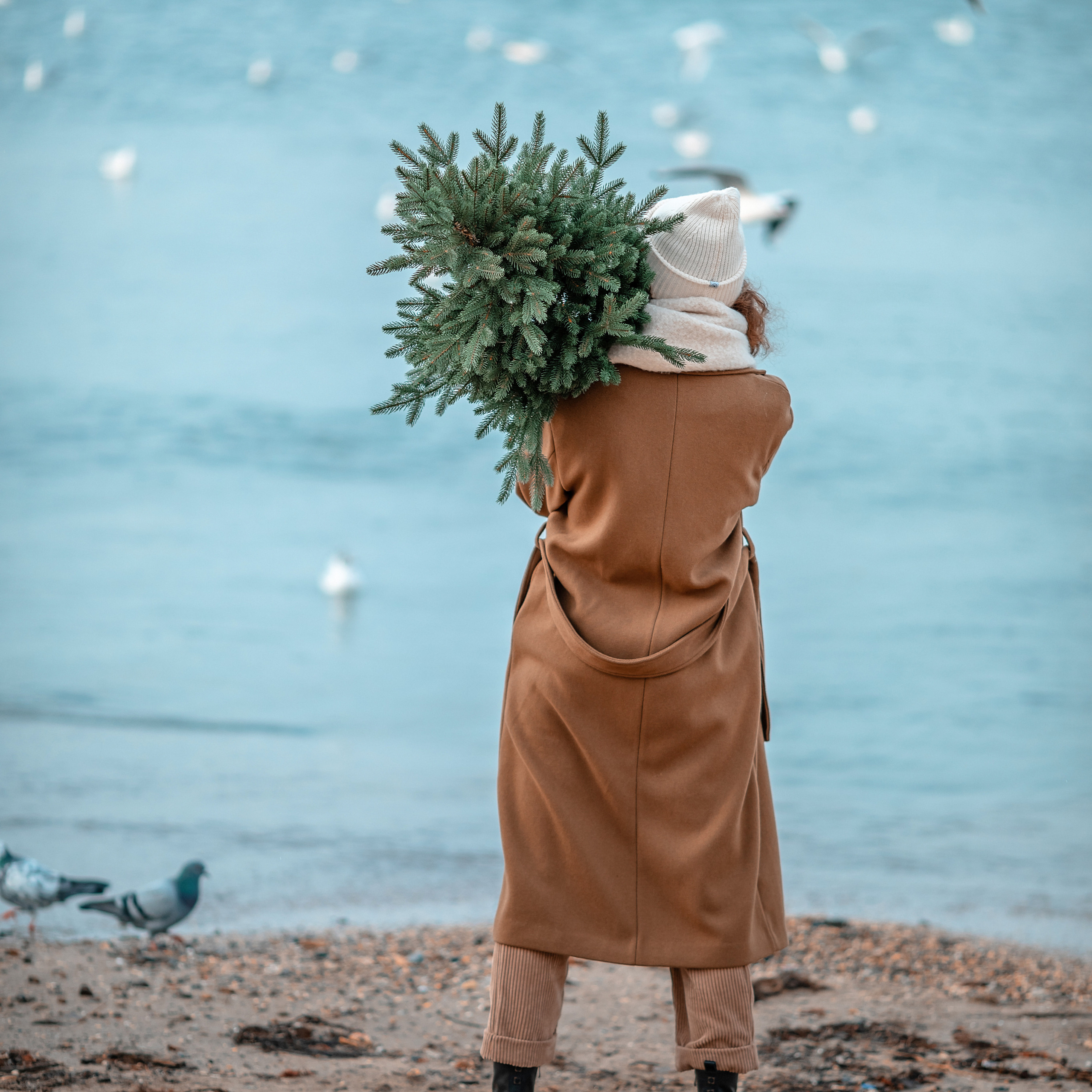 Новогодние прогулки