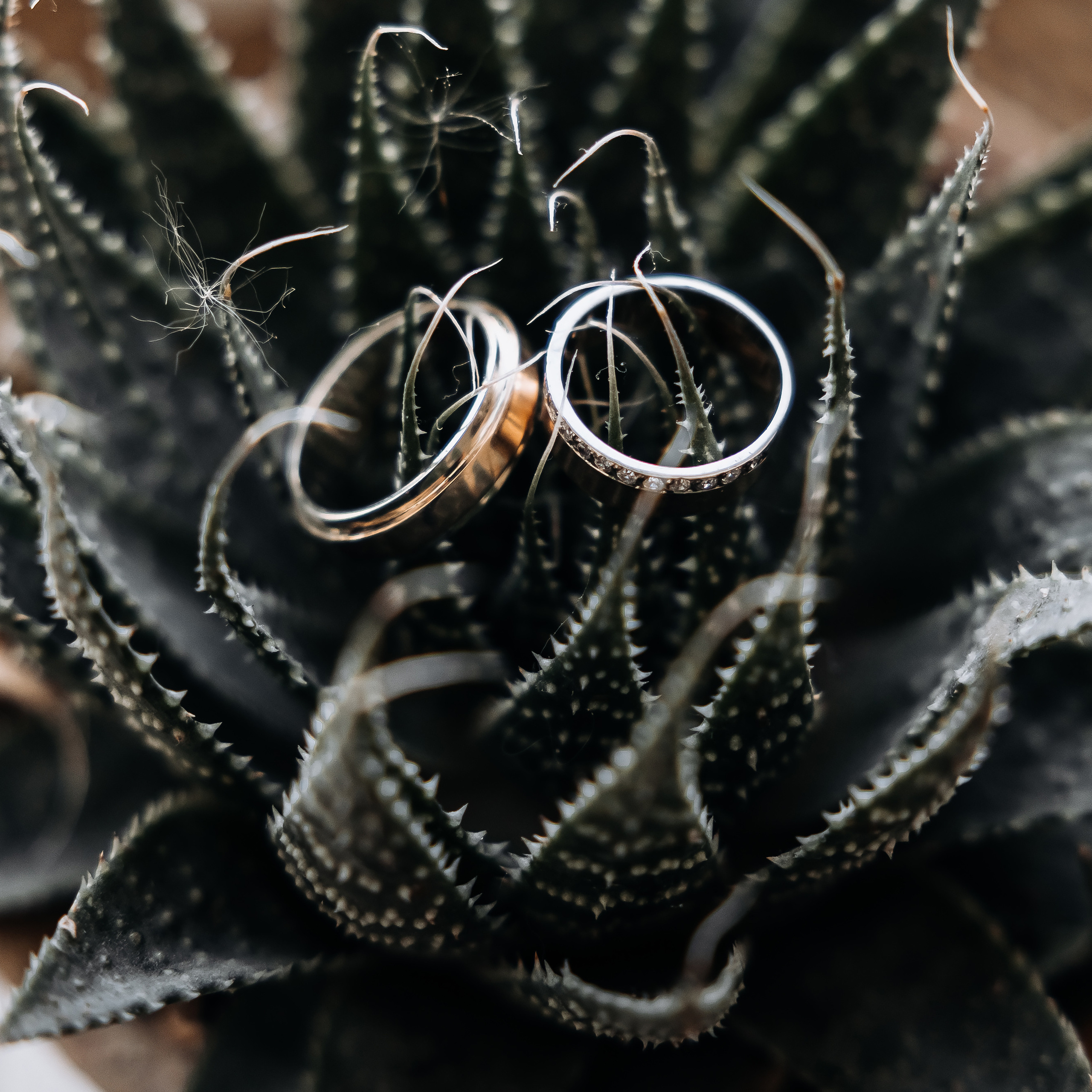 Отзывы. Свадебный фотограф Луганск Андрей Кийко Краснодар