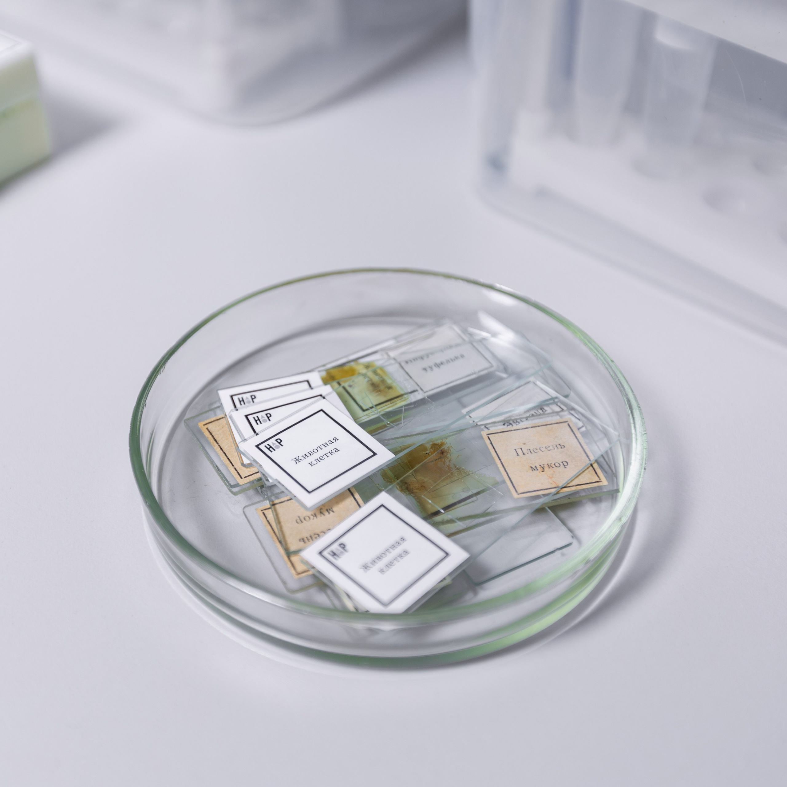 DANONE (Логика молока). Фотограф в Москве Иоанн Соломон