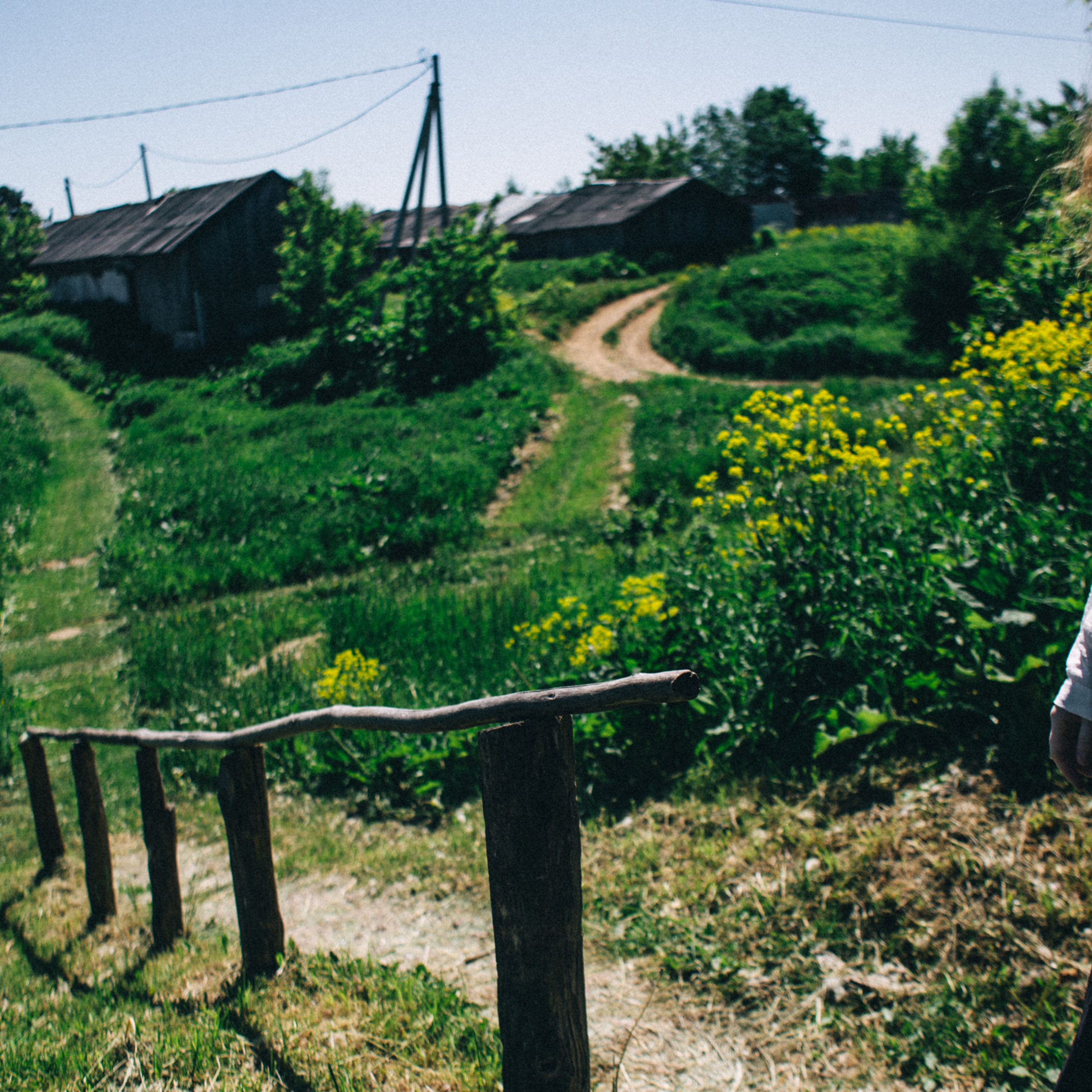 О Т З Ы В Ы. Фотограф в Нижнем Новгороде