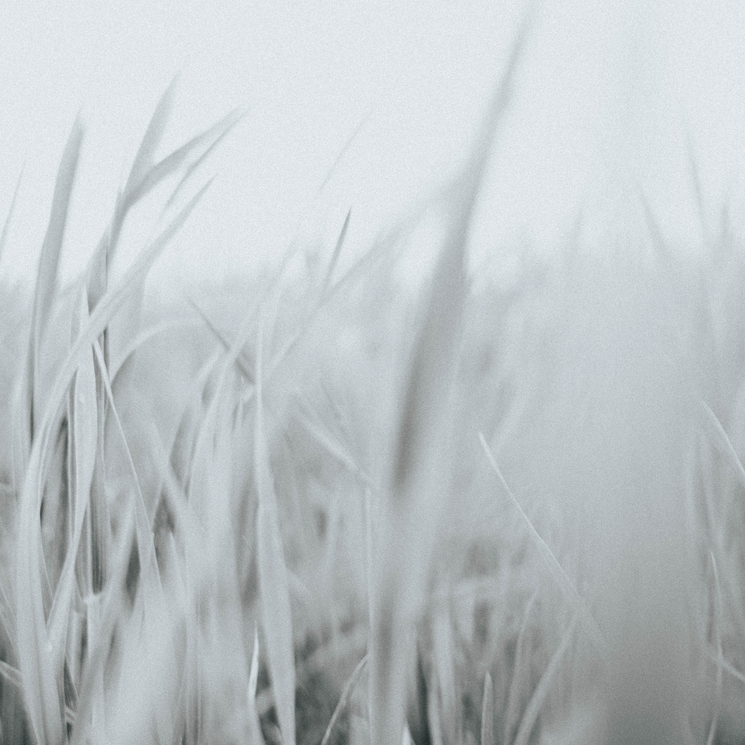 О Т З Ы В Ы. Фотограф в Нижнем Новгороде