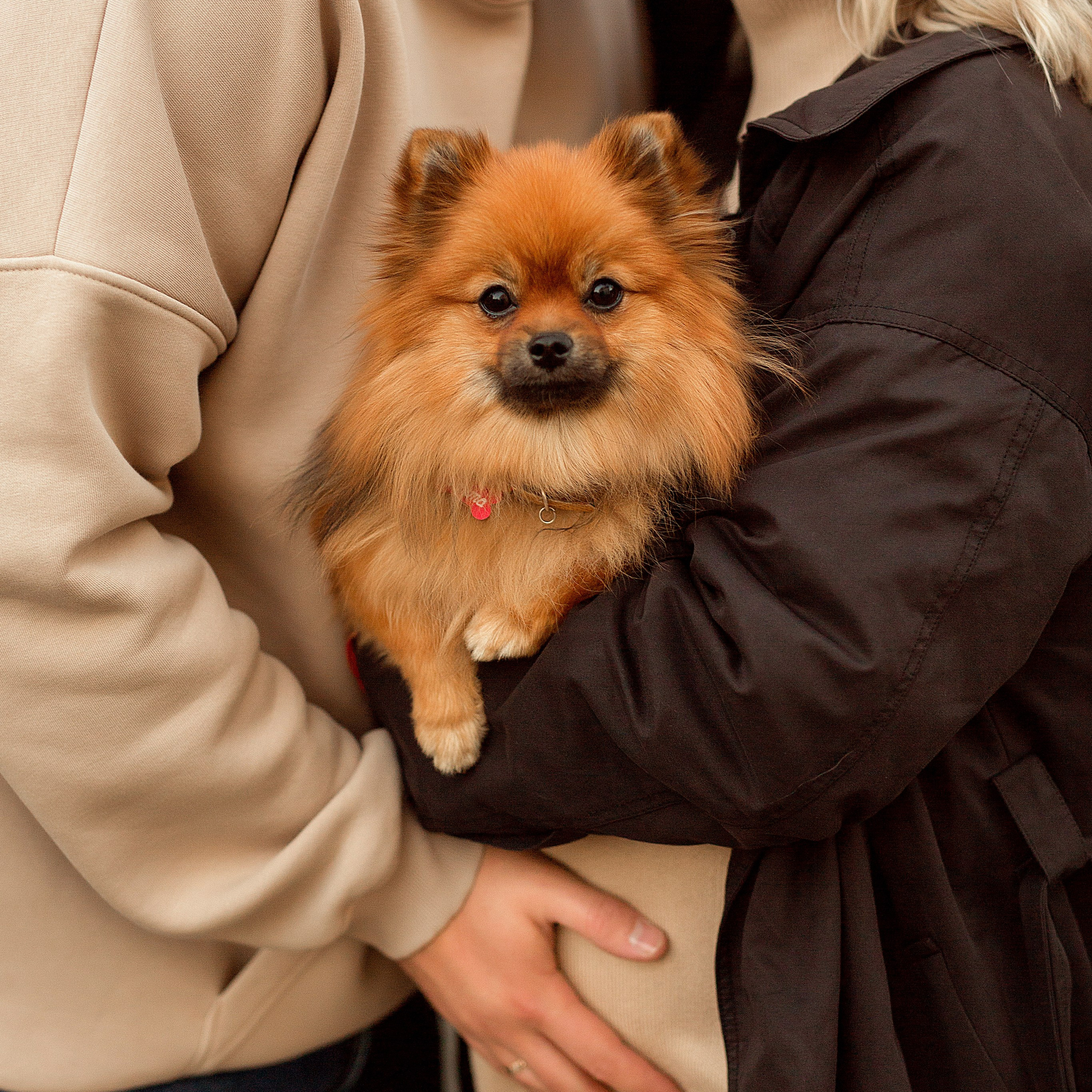 Богдан и Ольга в ожидании малыша