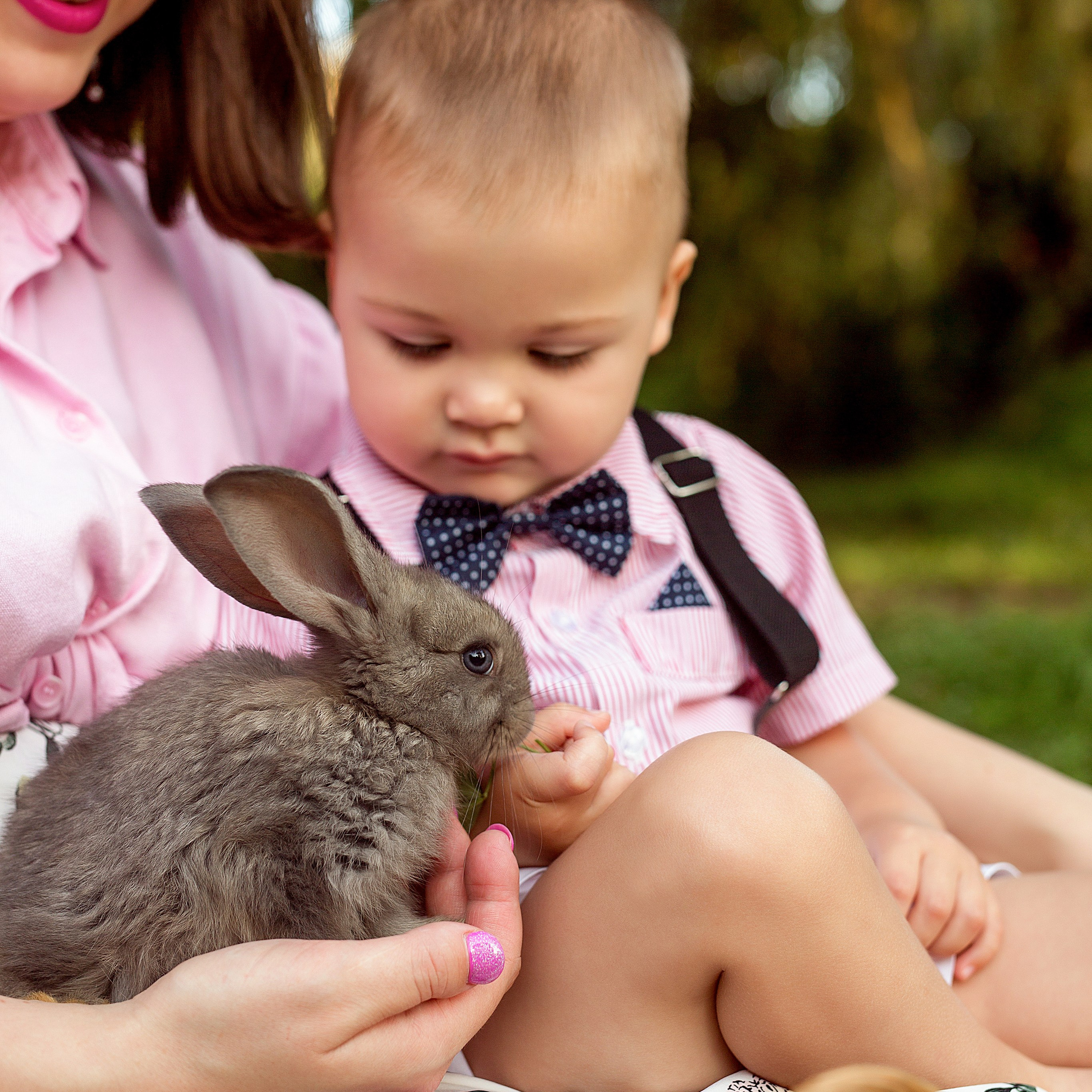 Пикник с крольчатами