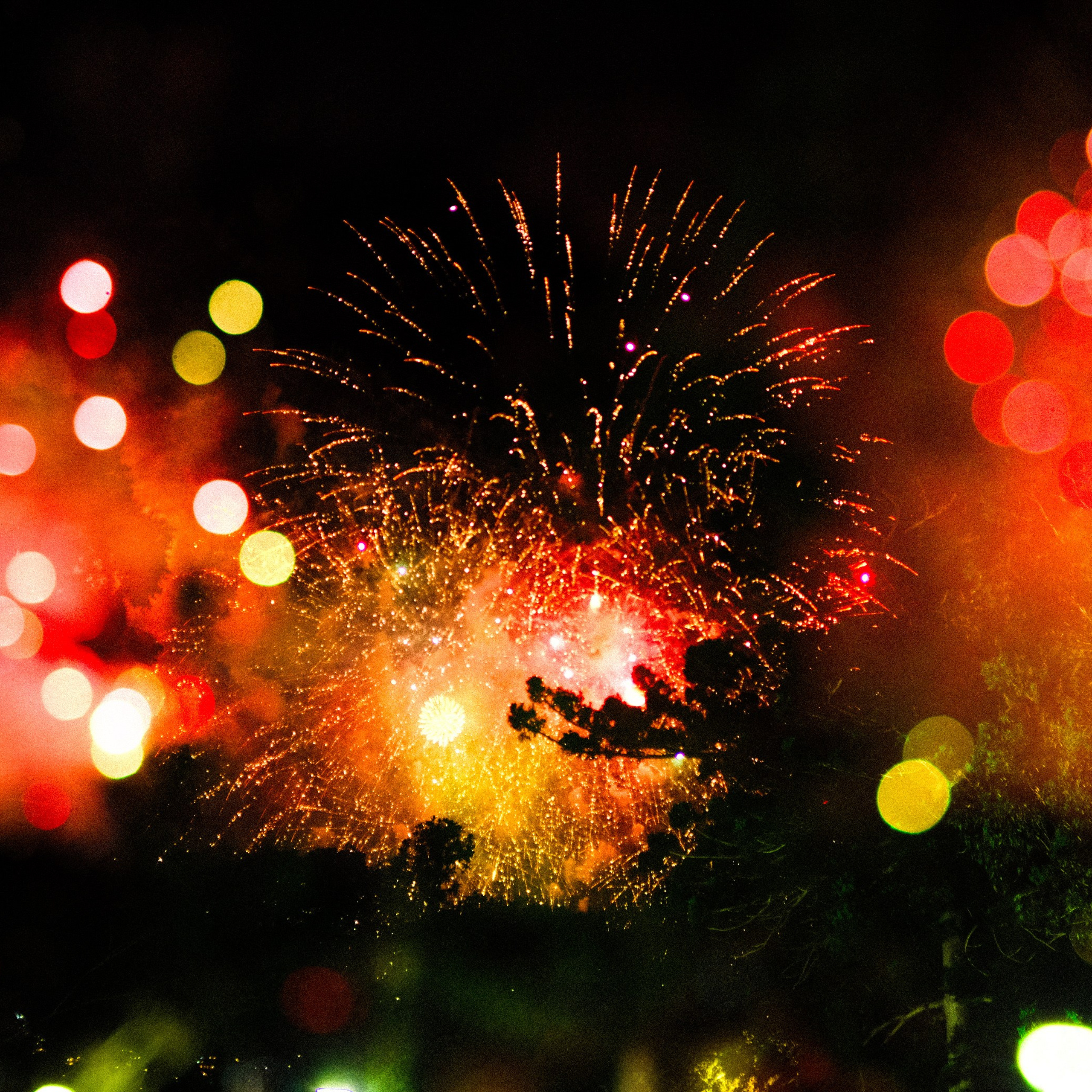 Photographer Videographer’s Blog. Color Photography & Videography in Moscow | by Lil Kicha