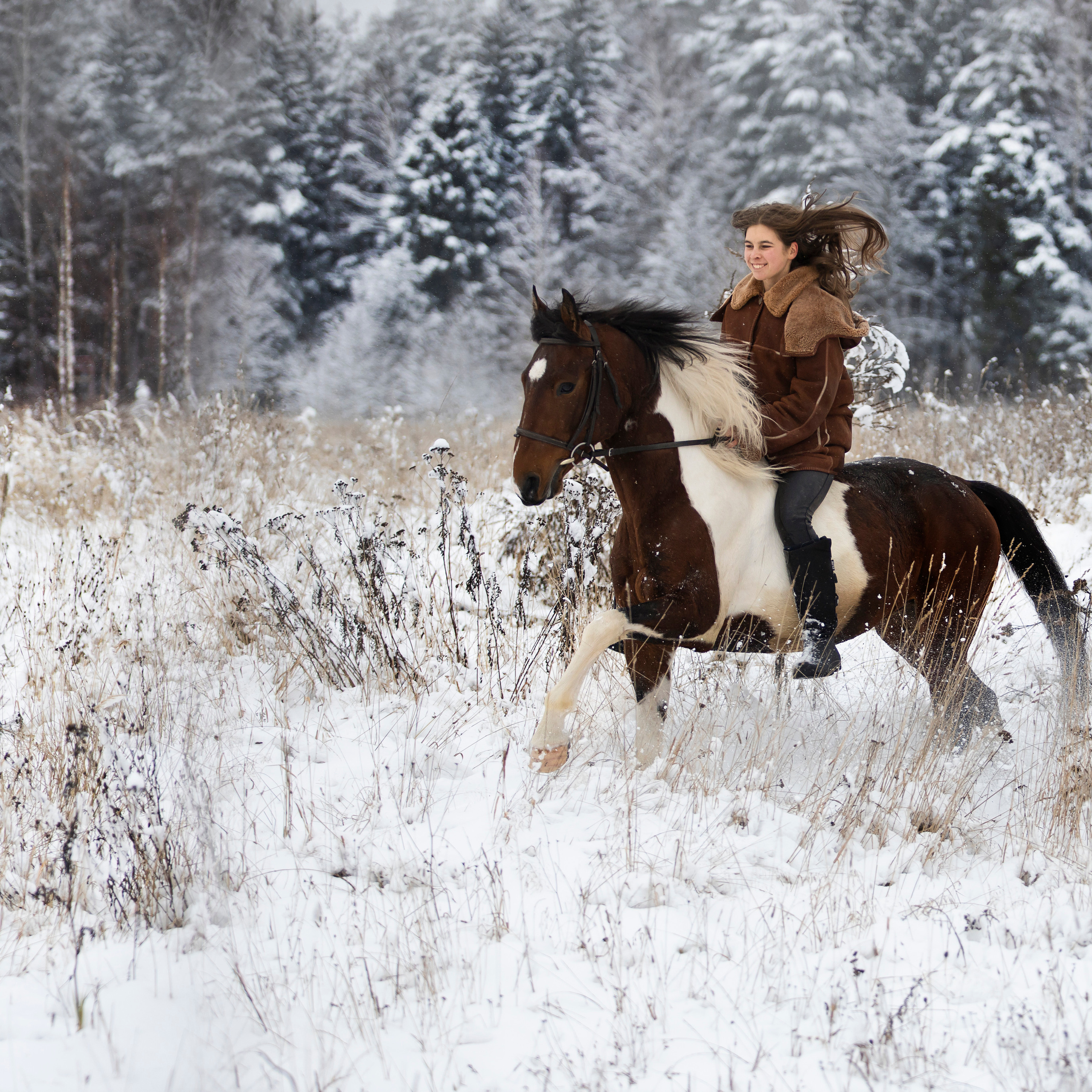 Съемка с животными