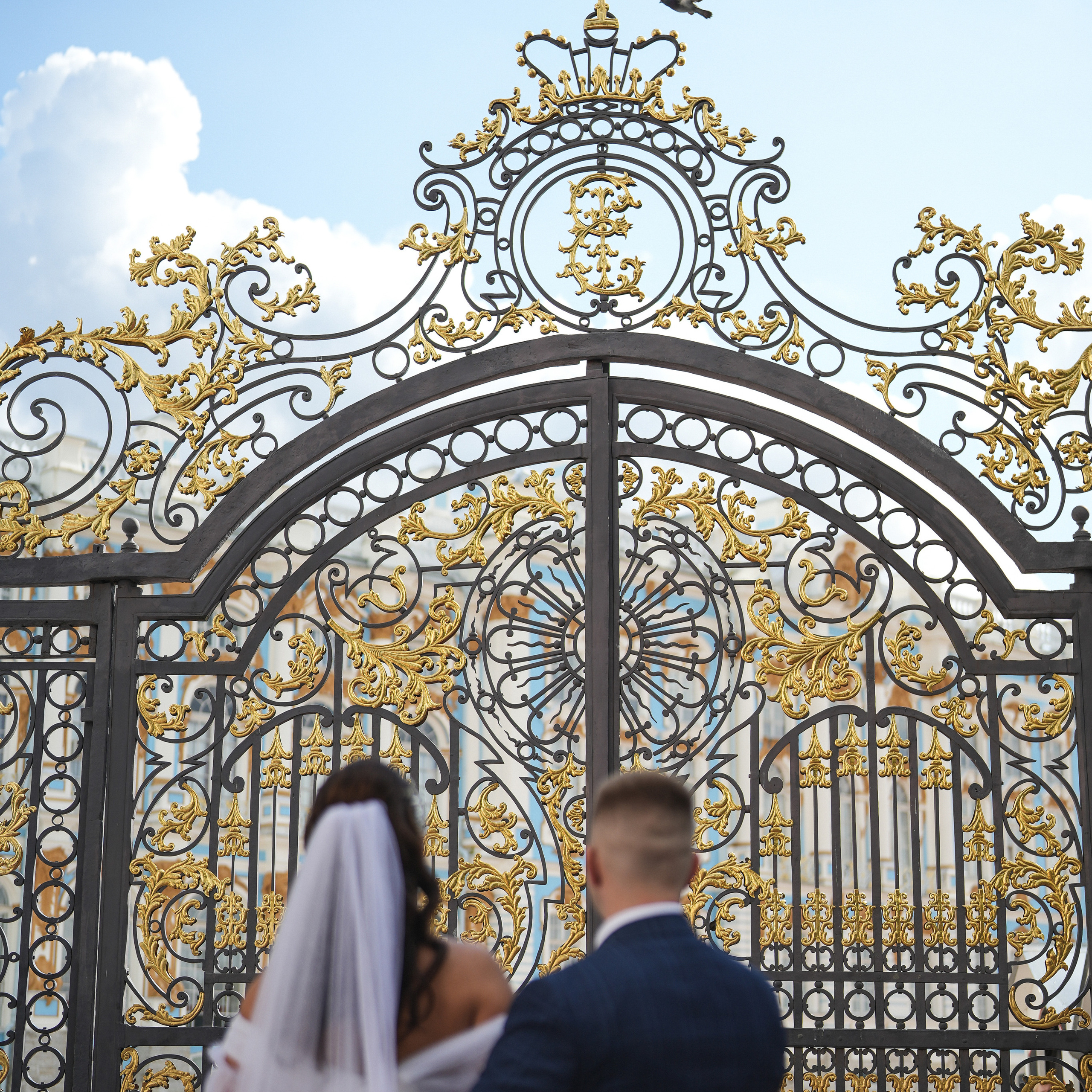 Отзывы. Свадебный фотограф Санкт-Петербург СПб Виталий Богданов