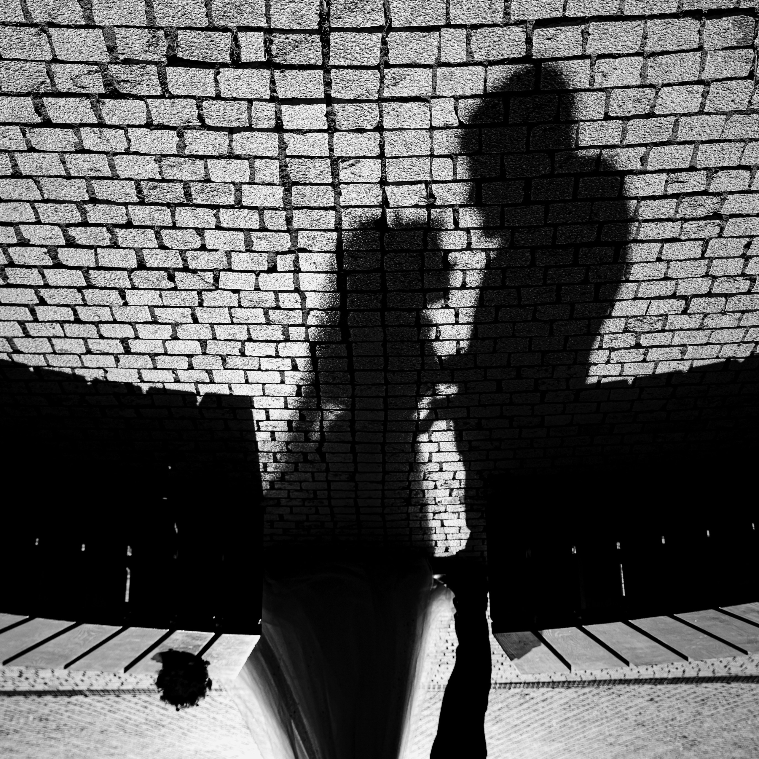 MARTPHOTO & MARTFILM VIDEO PRESENTS