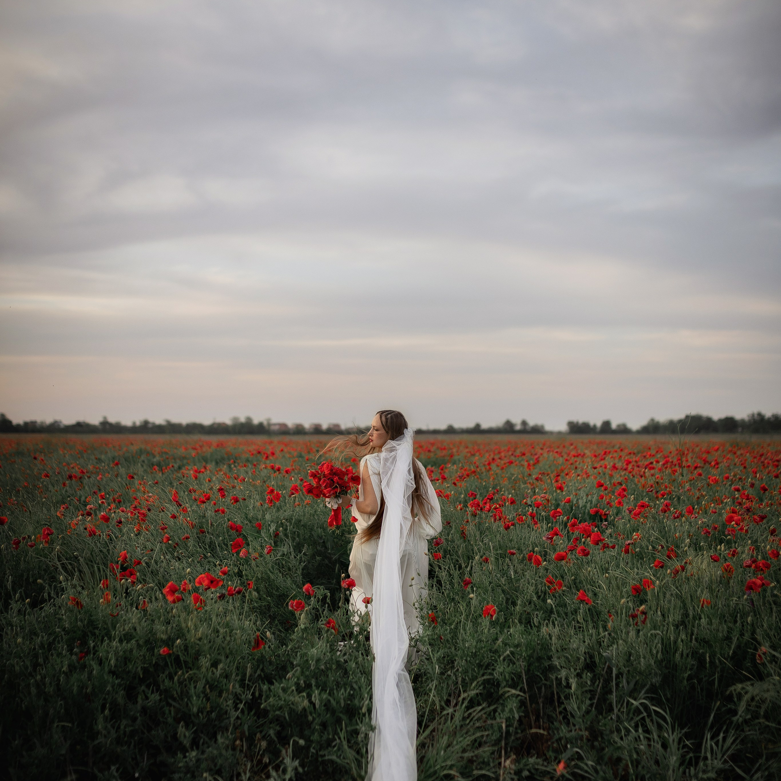 Маковое безумие