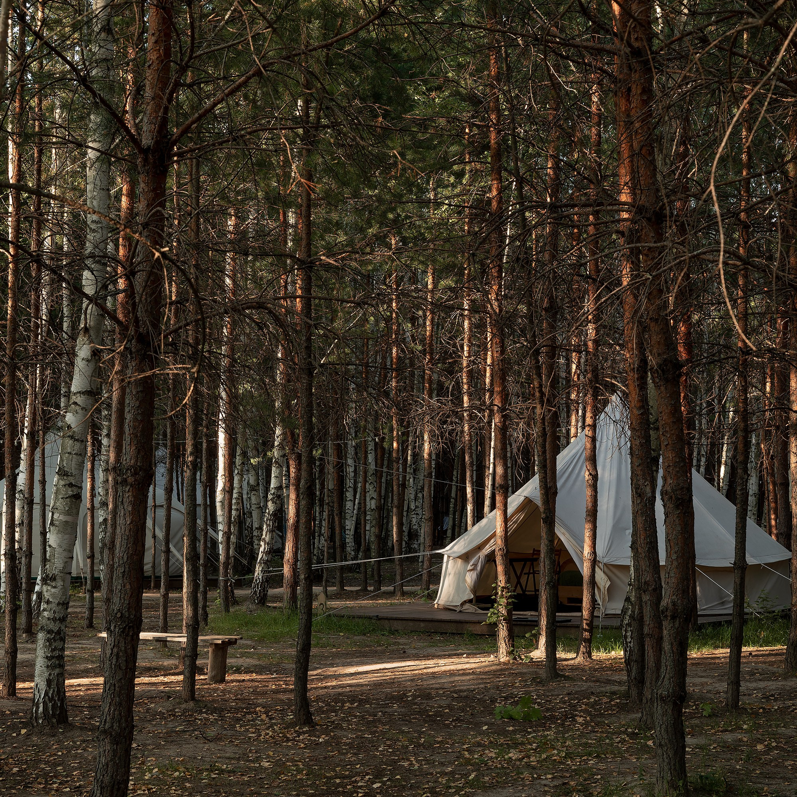 Ретро-глэмпинг «Молодость»