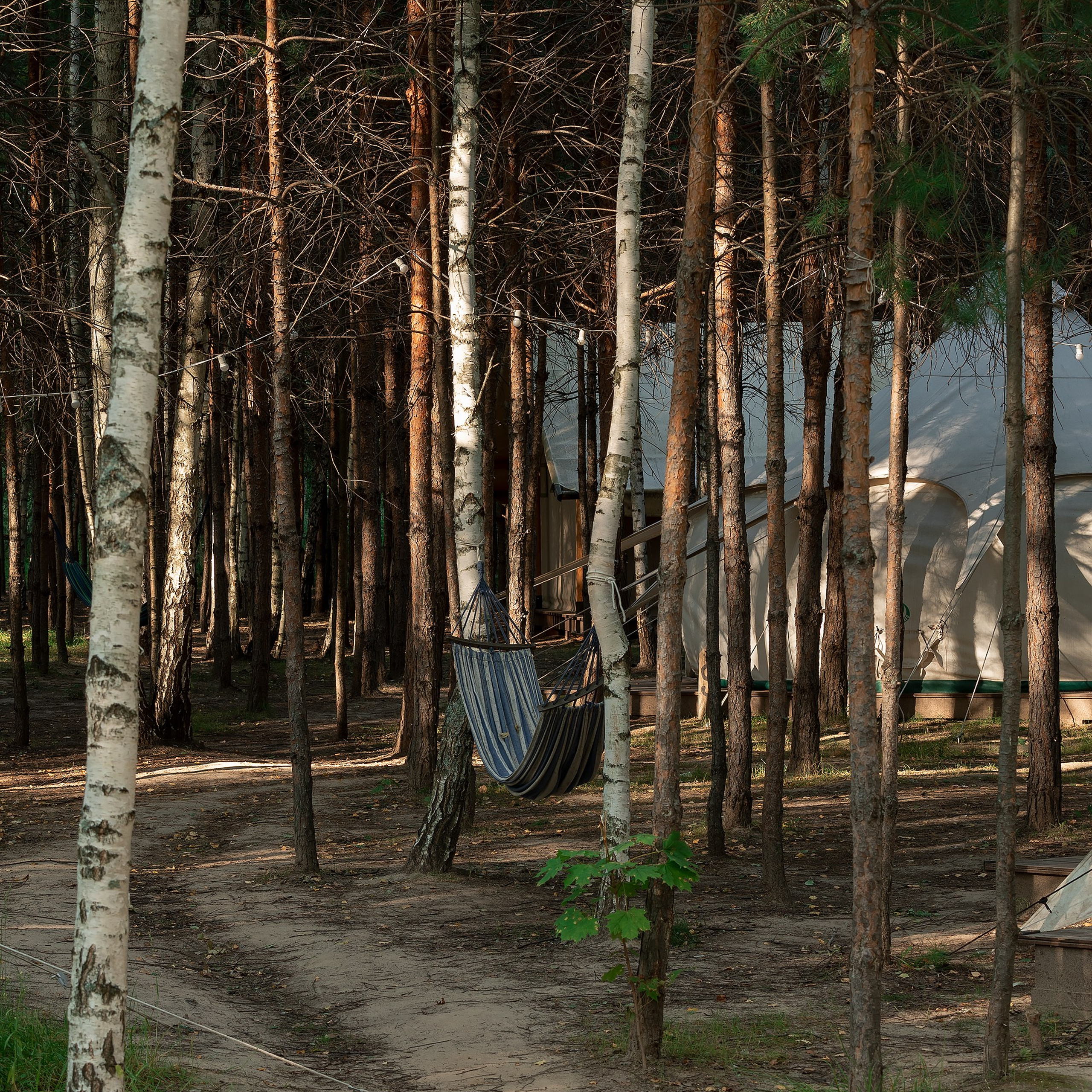 Ретро-глэмпинг «Молодость». Интерьерный фотограф Георгий Трушкин Казань Москва Россия