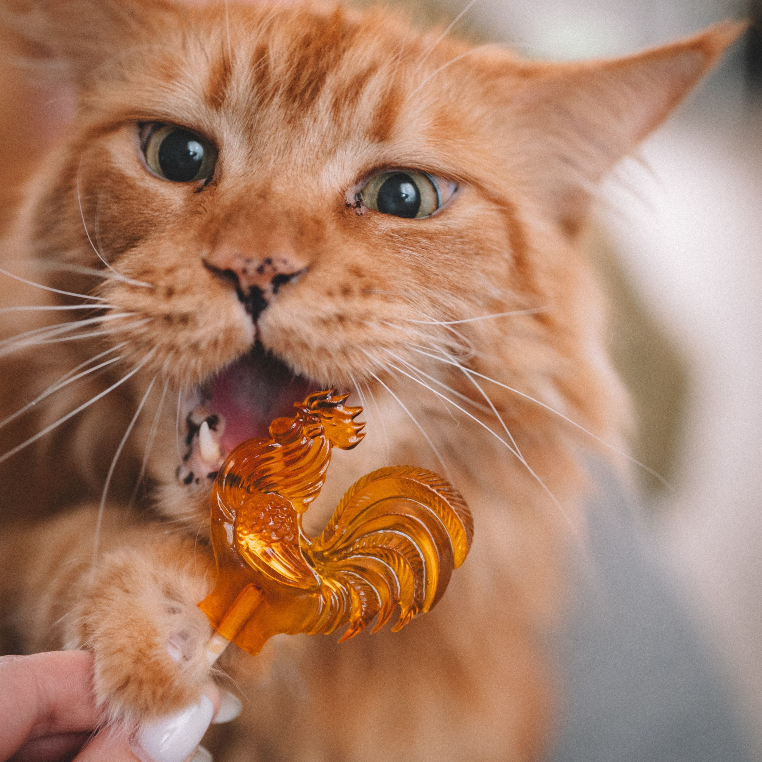 Броши от КастомФил