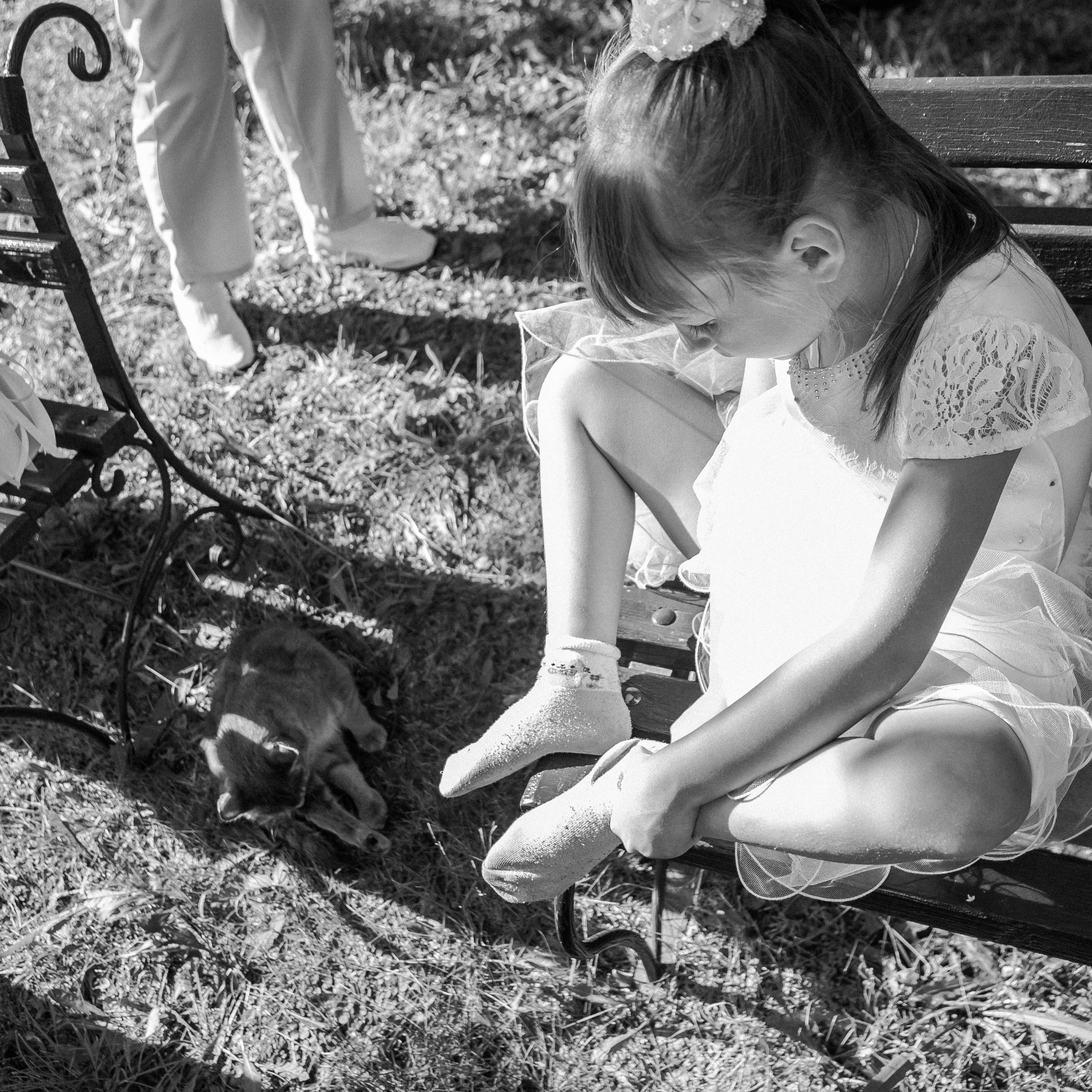 Алые паруса