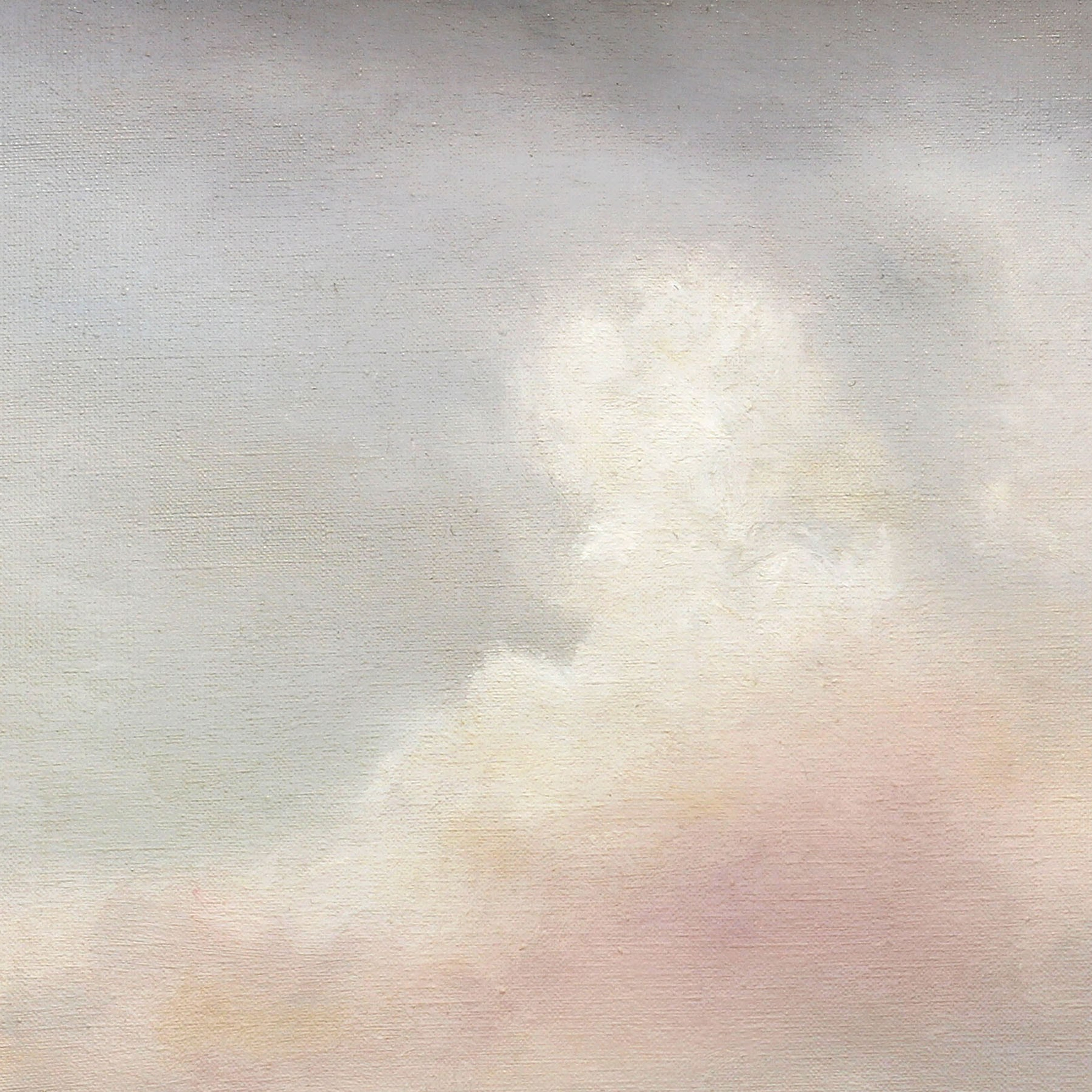 «Зефирное небо». Кирилл Агеев художник Санкт-Петербург