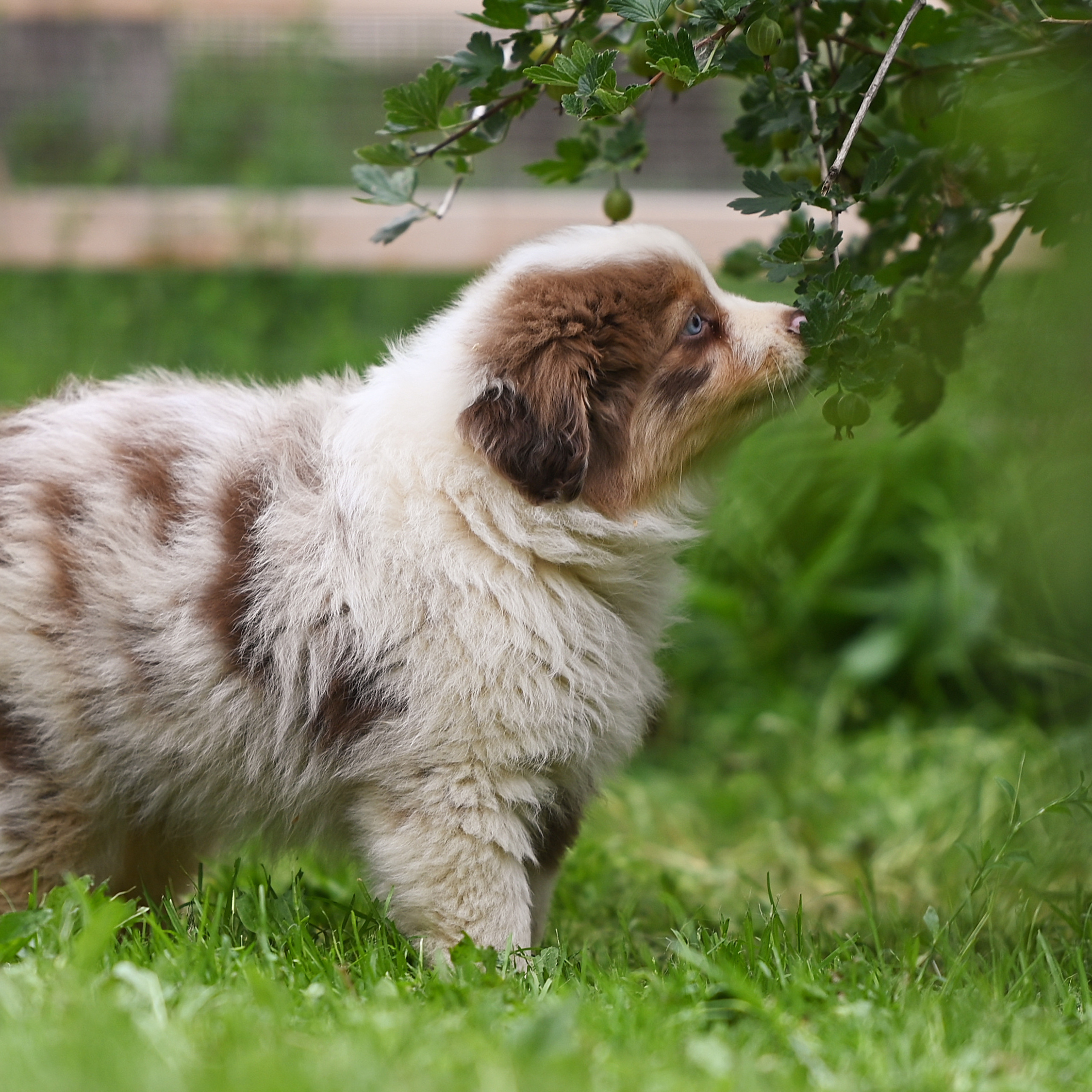 Отзывы. Фотостудия Studio419 в Петергофе. Пространство для творчества