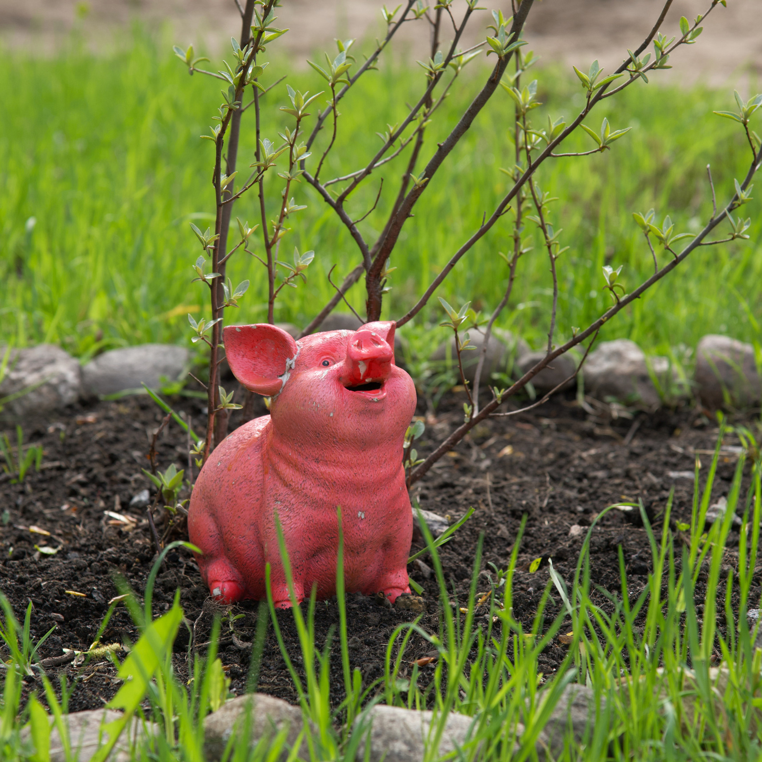 Отзывы. Фотостудия Studio419 в Петергофе. Пространство для творчества