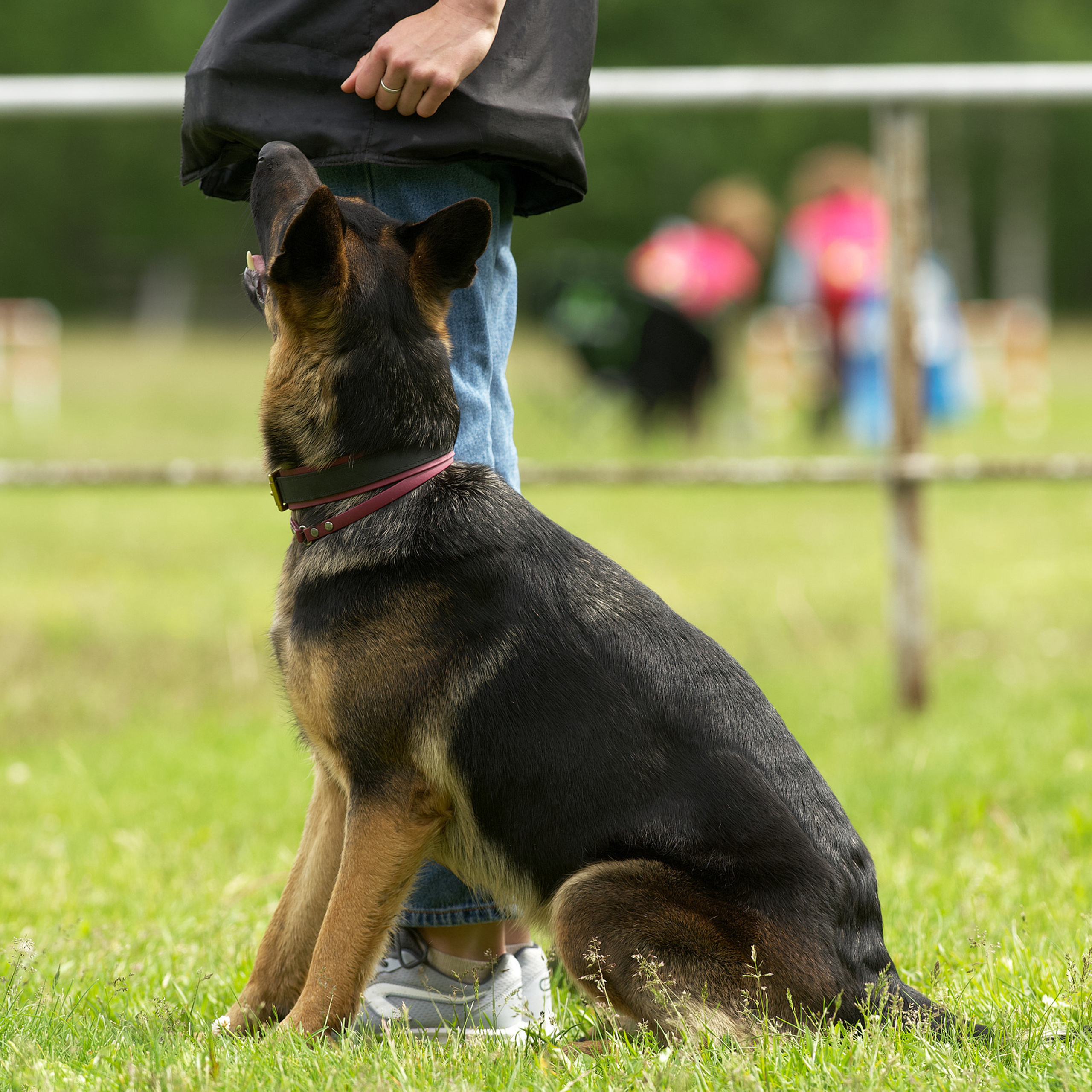 Отзывы. Фотостудия Studio419 в Петергофе. Пространство для творчества