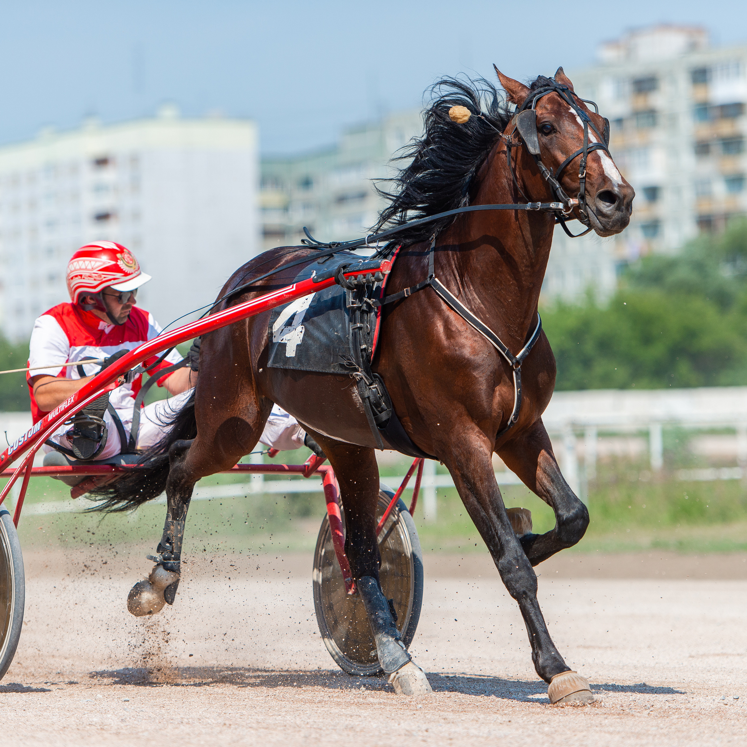 Свадебный и семейный фотограф в Омске Мормулев Михаил. Свадебный и семейный фотограф в Омске Мормулев Михаил