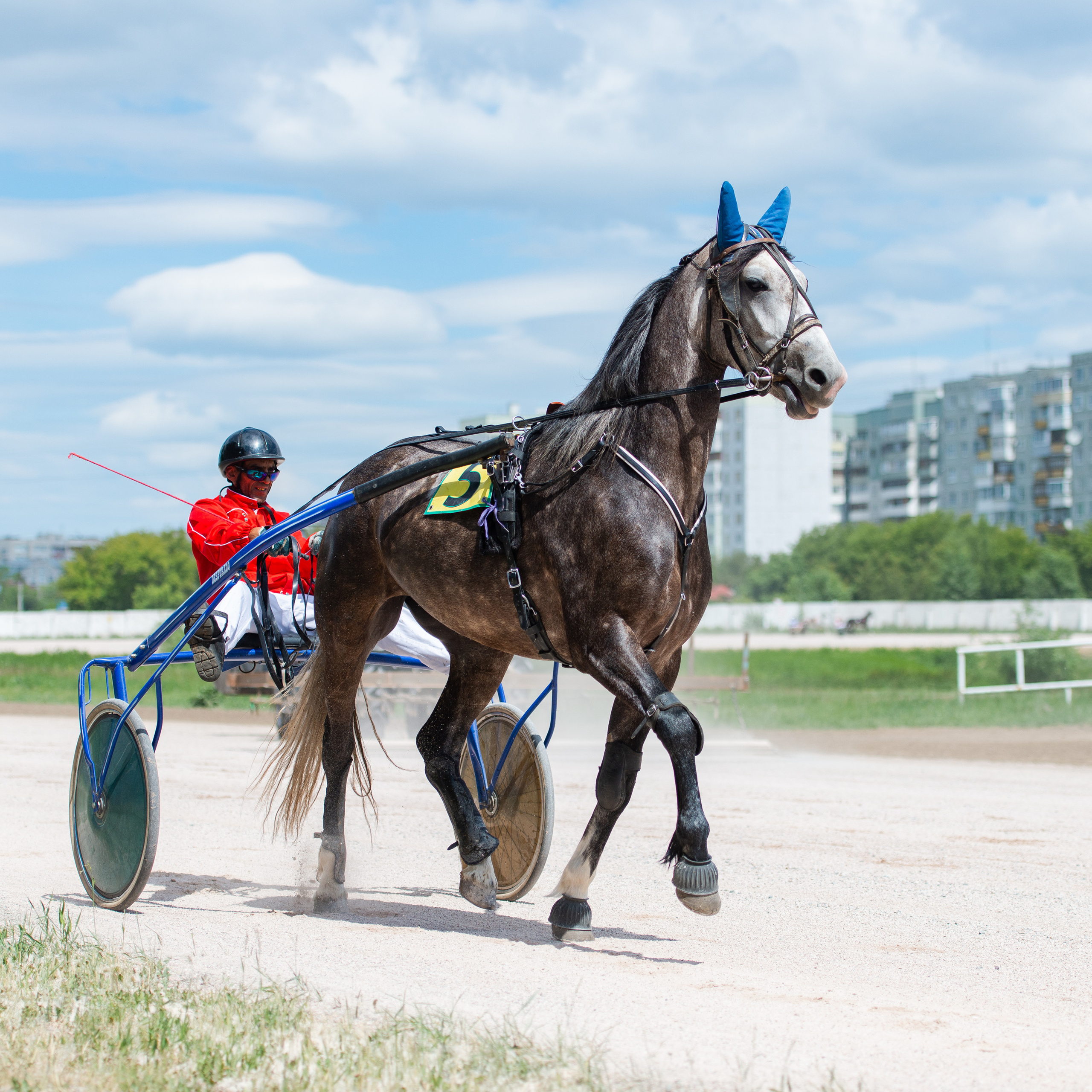 Свадебный и семейный фотограф в Омске Мормулев Михаил. Свадебный и семейный фотограф в Омске Мормулев Михаил