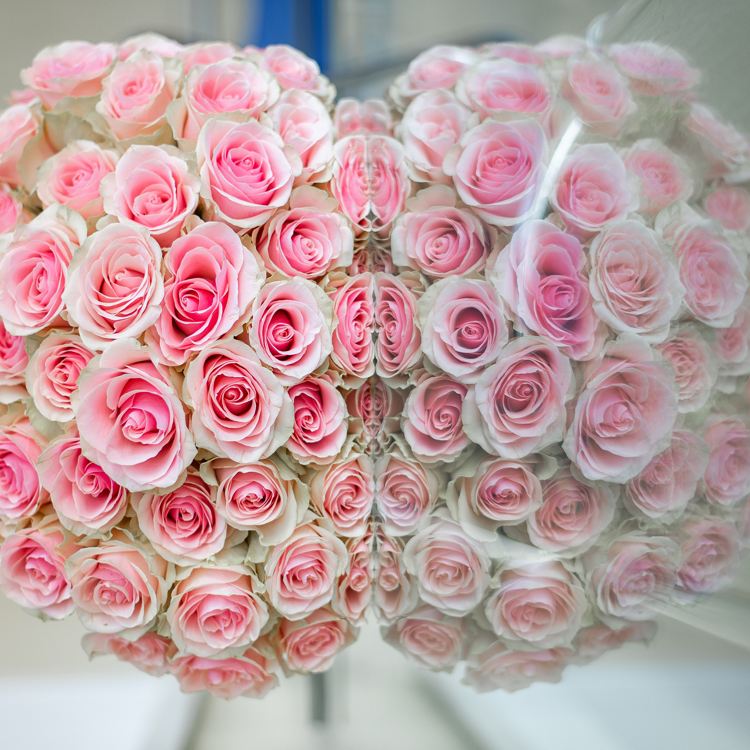 Свадебный и семейный фотограф в Омске Мормулев Михаил. Свадебный и семейный фотограф в Омске Мормулев Михаил