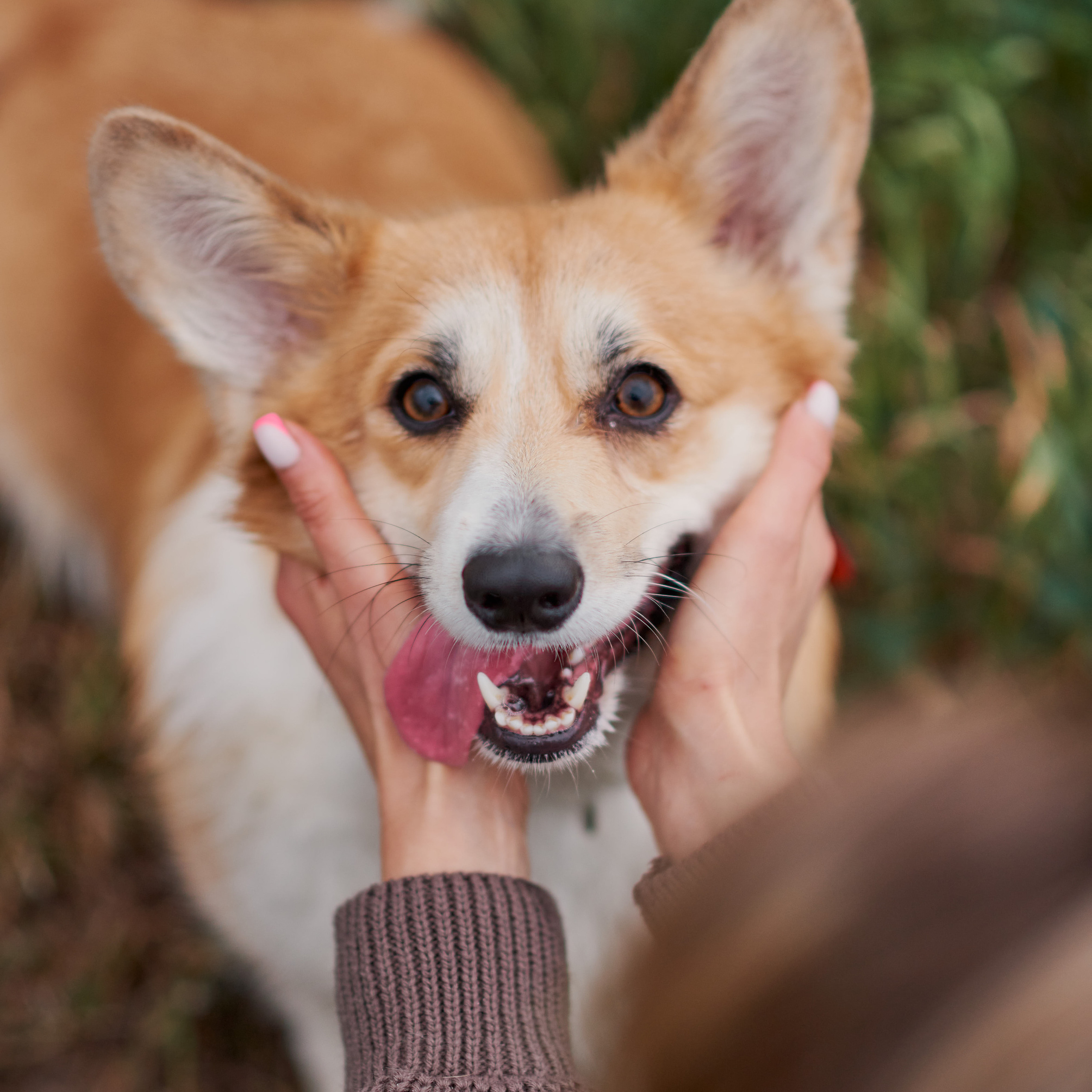 Отзывы. Свадебный и семейный фотограф в Нижнем Новгороде и в городе Городец, Б