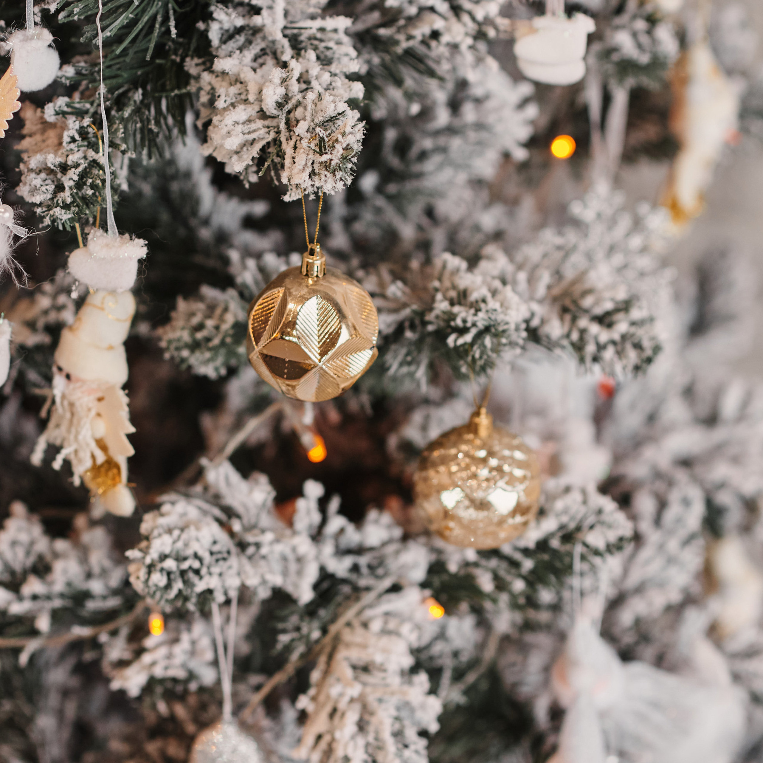 Отзывы. Свадебный и семейный фотограф в Нижнем Новгороде и в городе Городец, Б