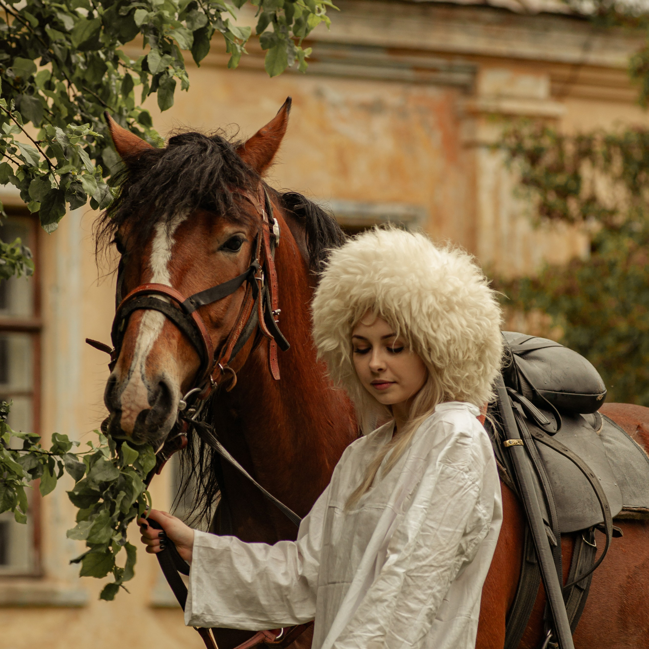 Прогулка с конём