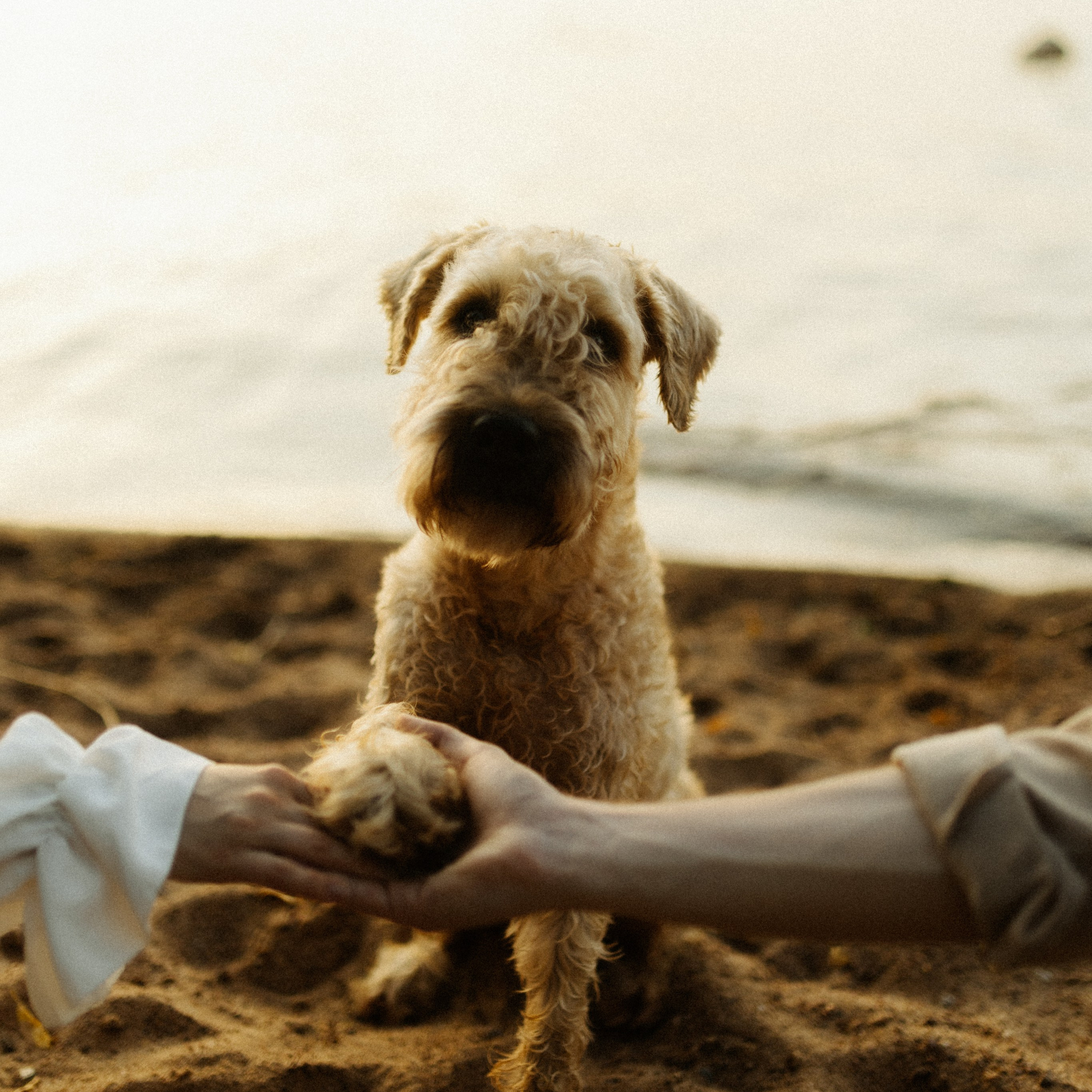 Аня, Влад и&nbsp;Джек