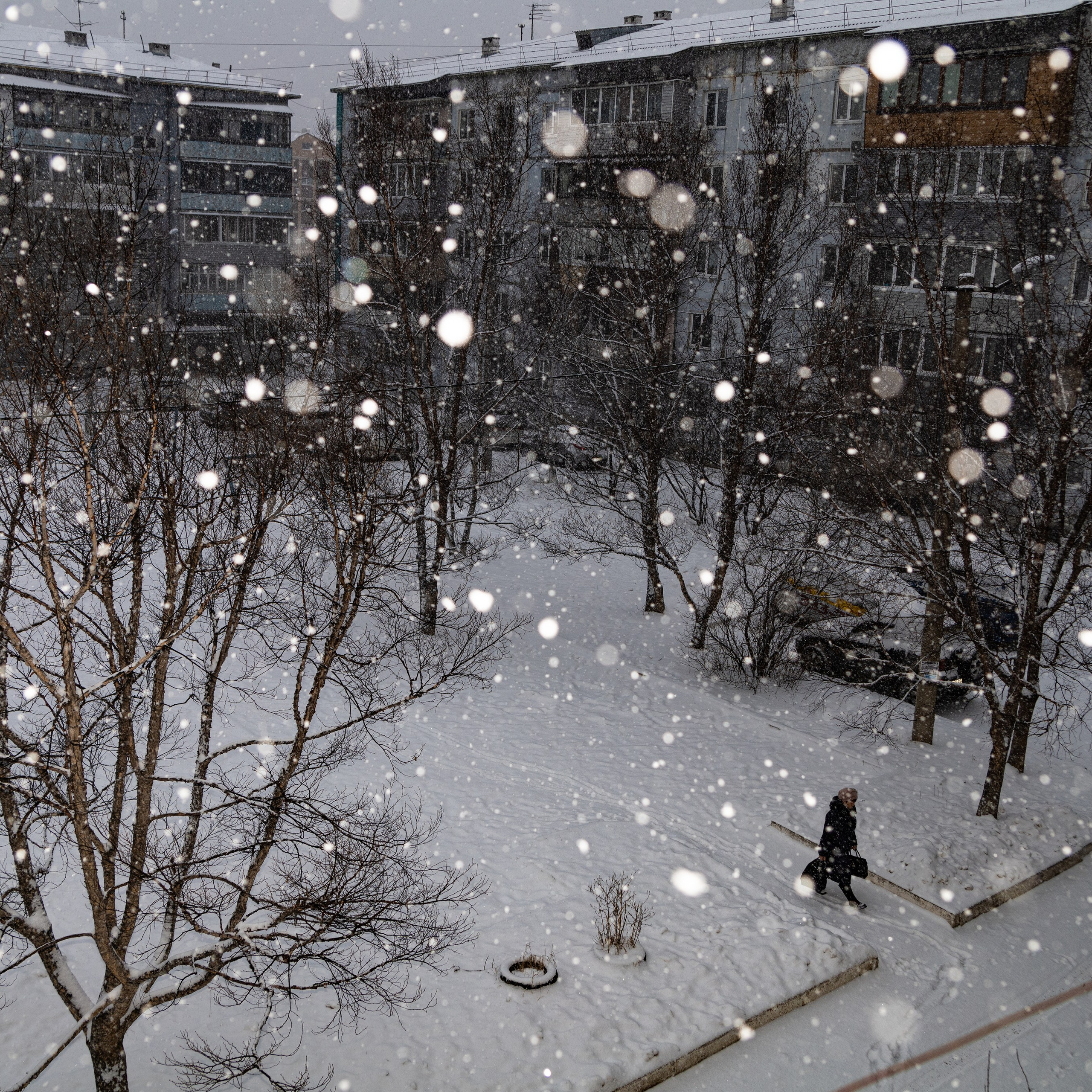 Мобильная фотография. Арт-фотограф Сердюк Юлия