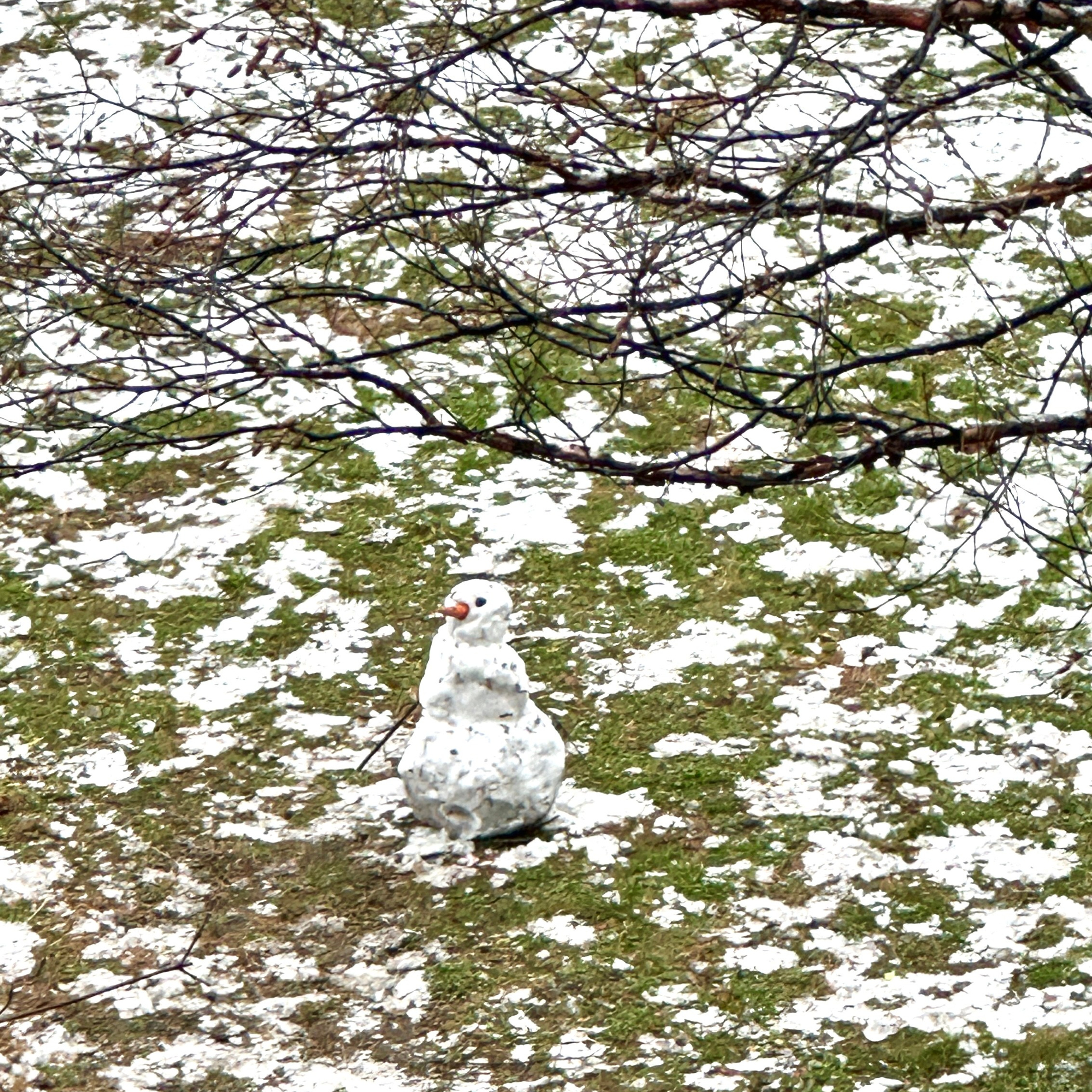 Мобильная фотография. Арт-фотограф Сердюк Юлия