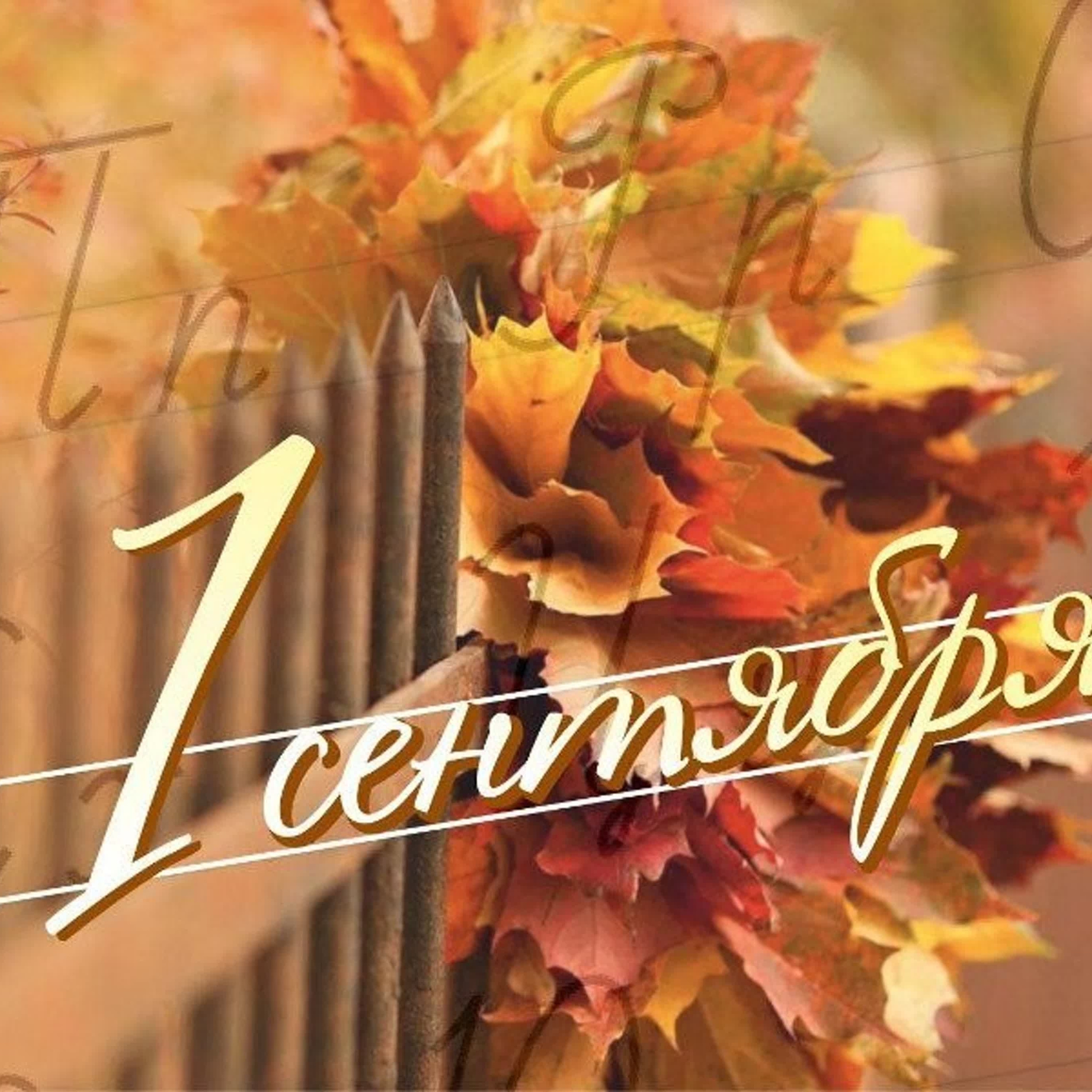 1 сентября — видео