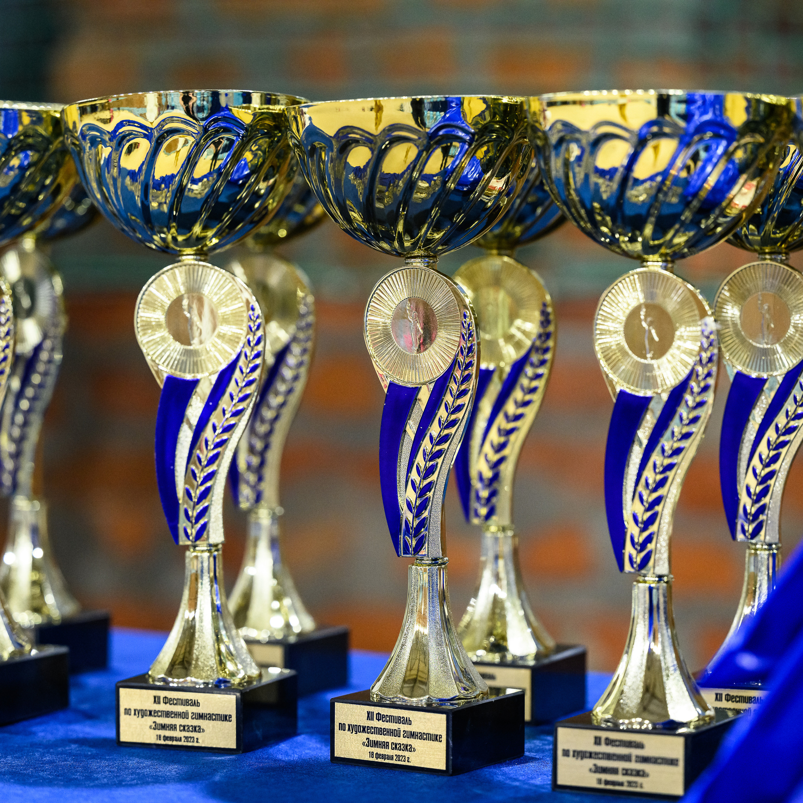 Отзывы. Спортивный и репортажный фотограф в Санкт-Петербурге Алексей Ковалев