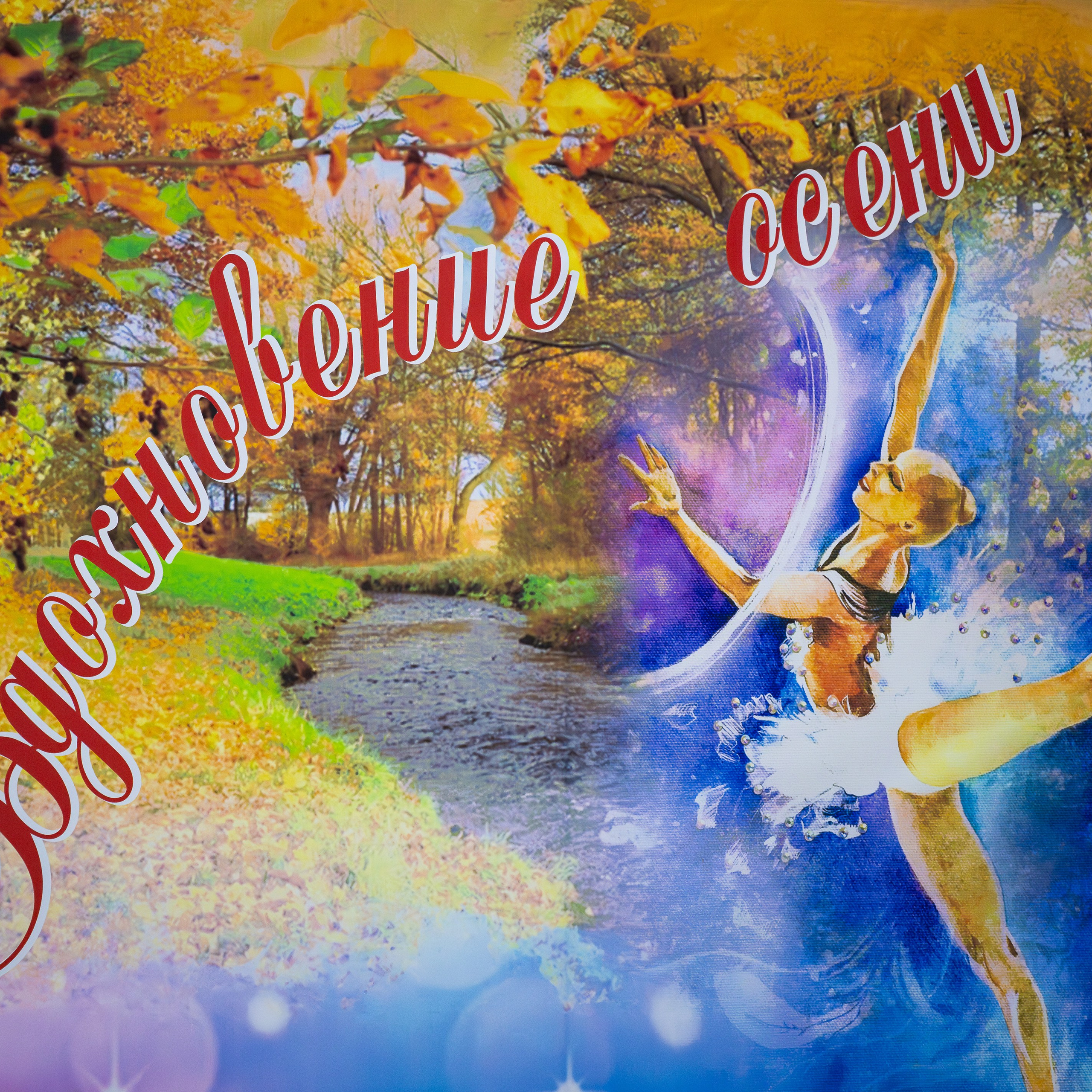 Отзывы. Спортивный и репортажный фотограф в Санкт-Петербурге Алексей Ковалев