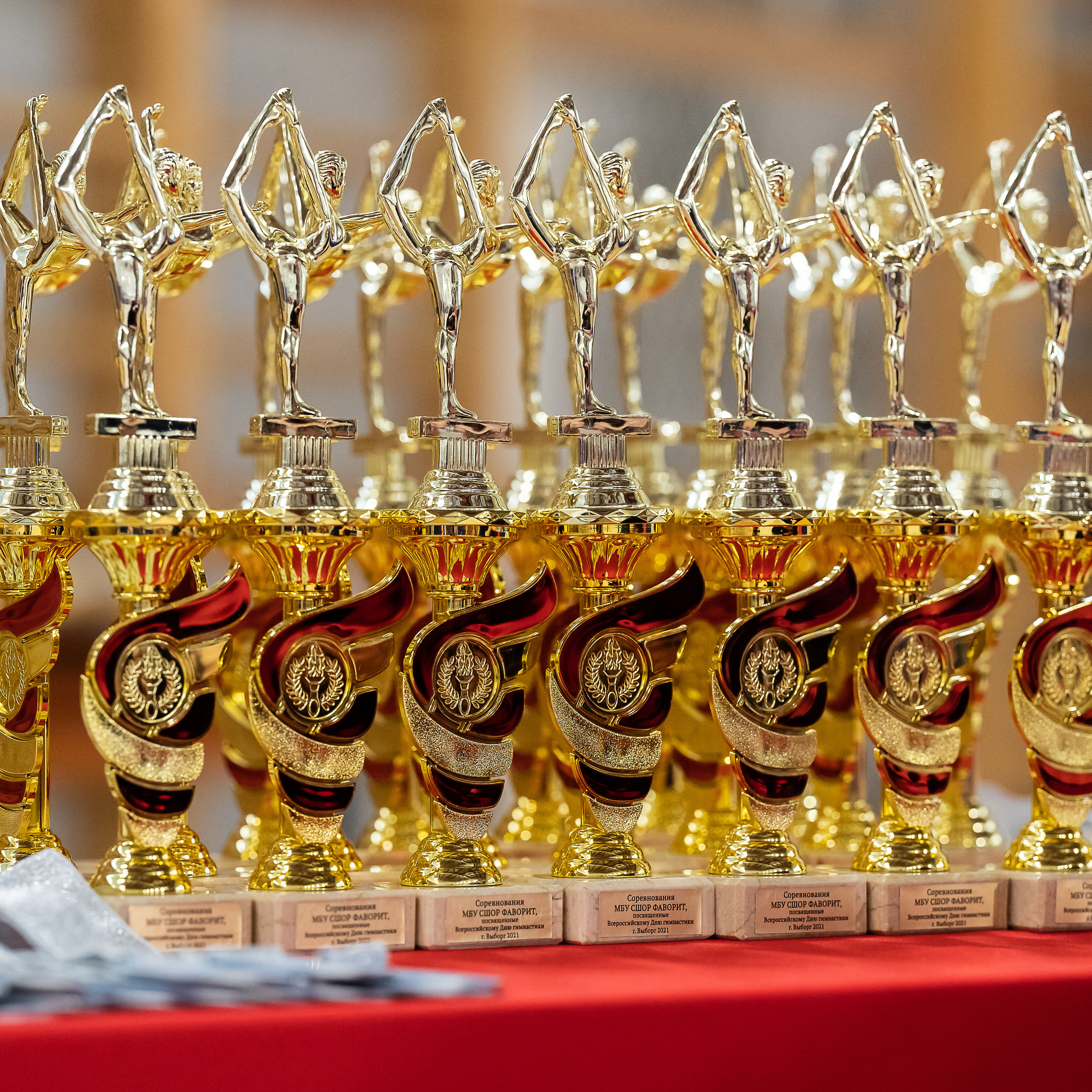 Отзывы. Спортивный и репортажный фотограф в Санкт-Петербурге Алексей Ковалев