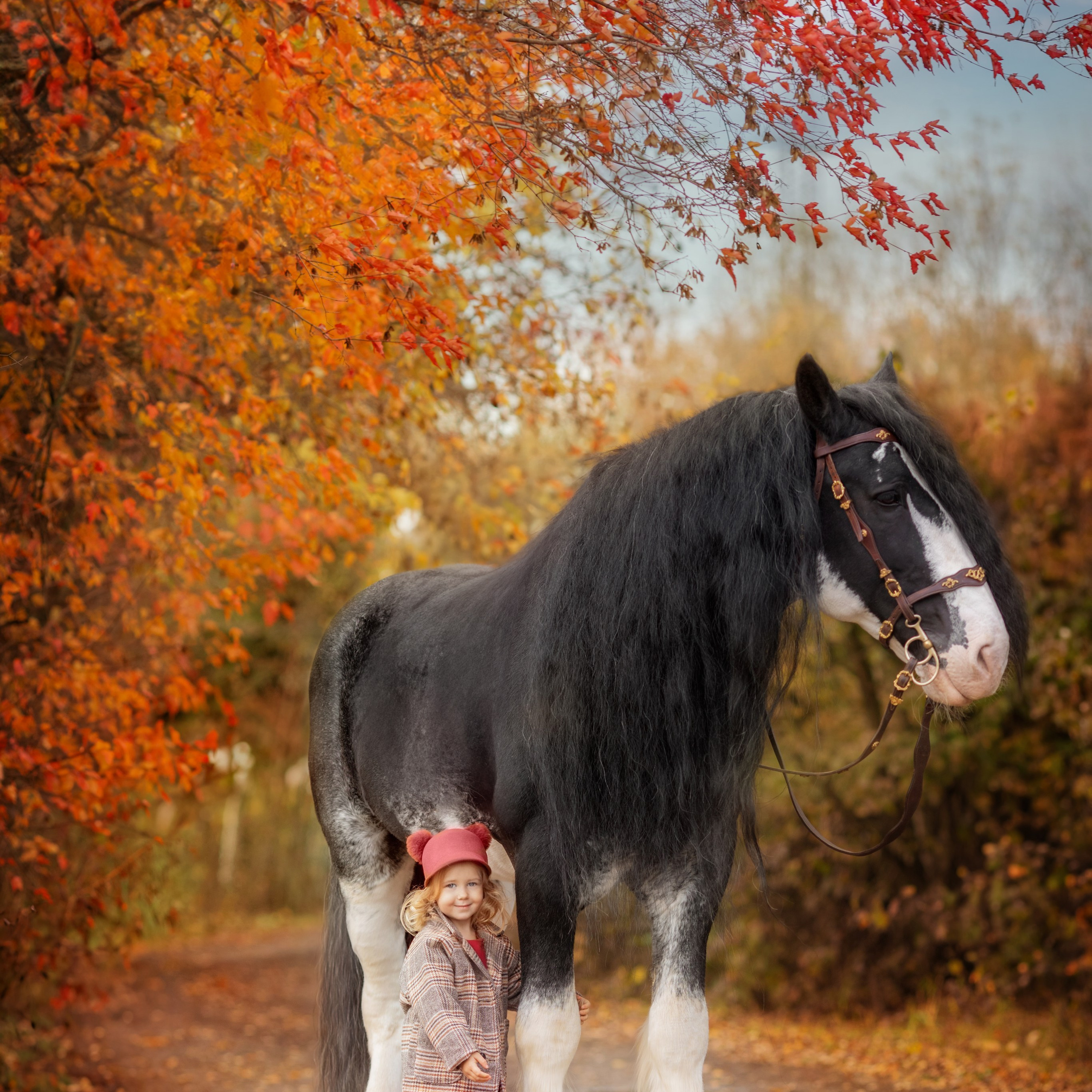 Отзывы. Детский и семейный фотограф Александра Грекова