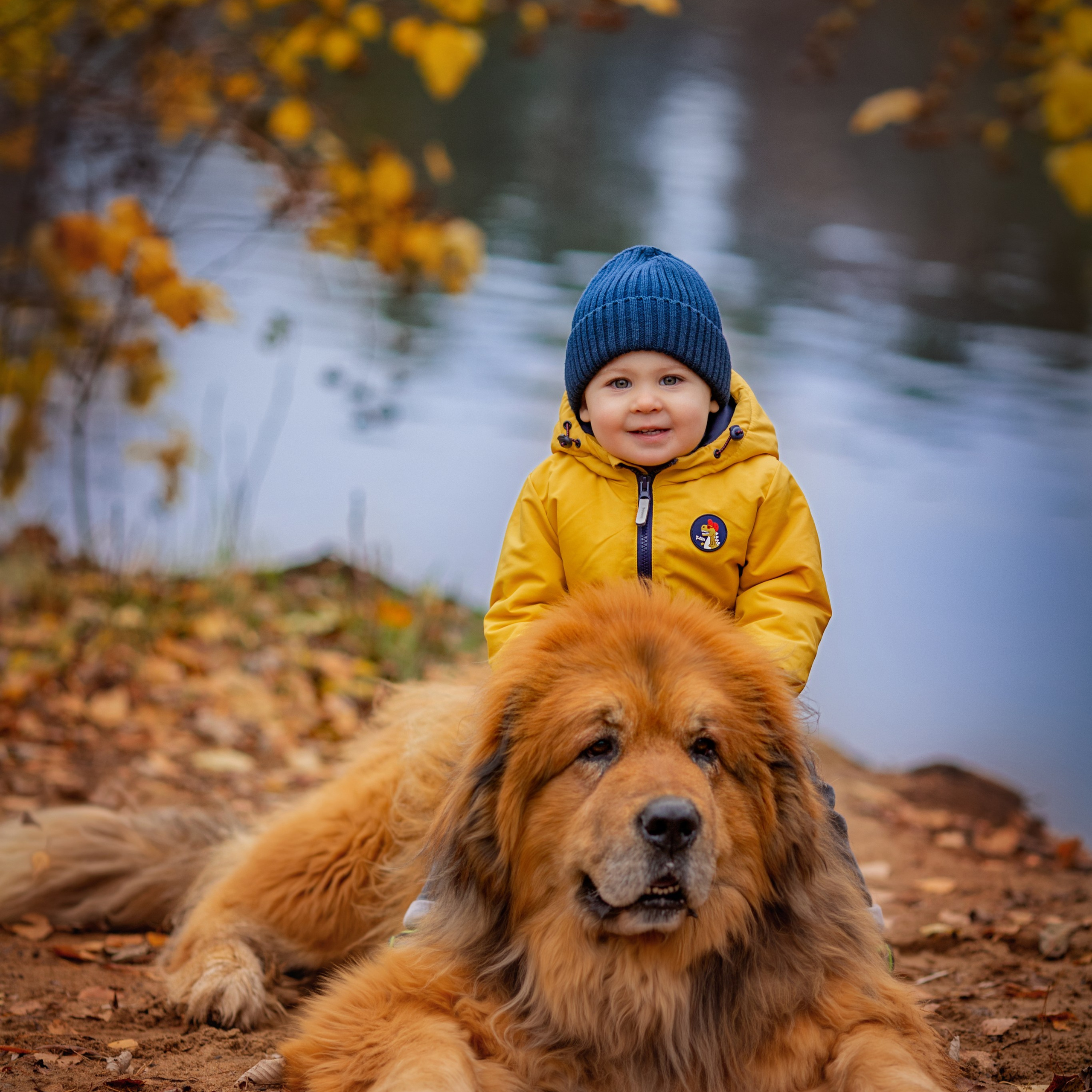 Отзывы. Детский и семейный фотограф Александра Грекова