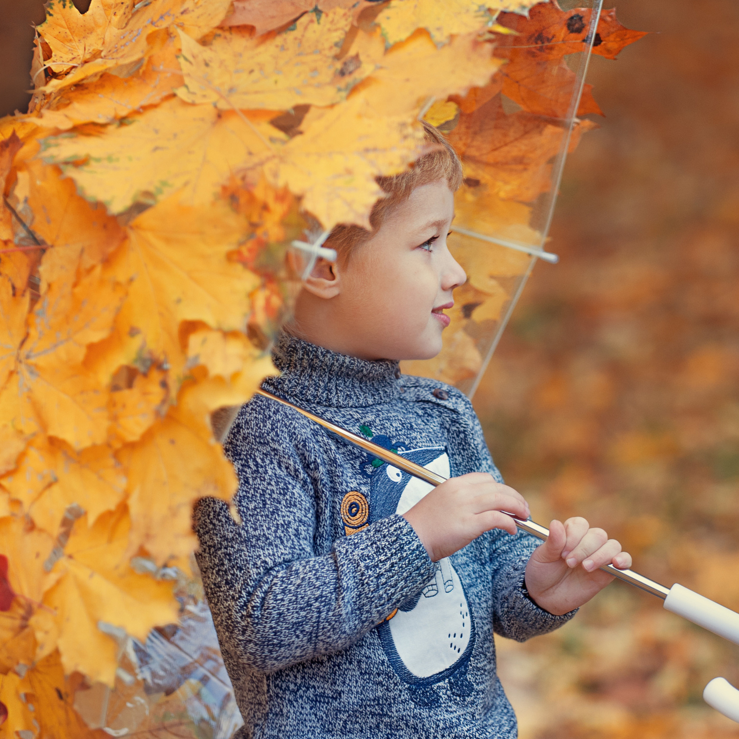 Осенние съемки