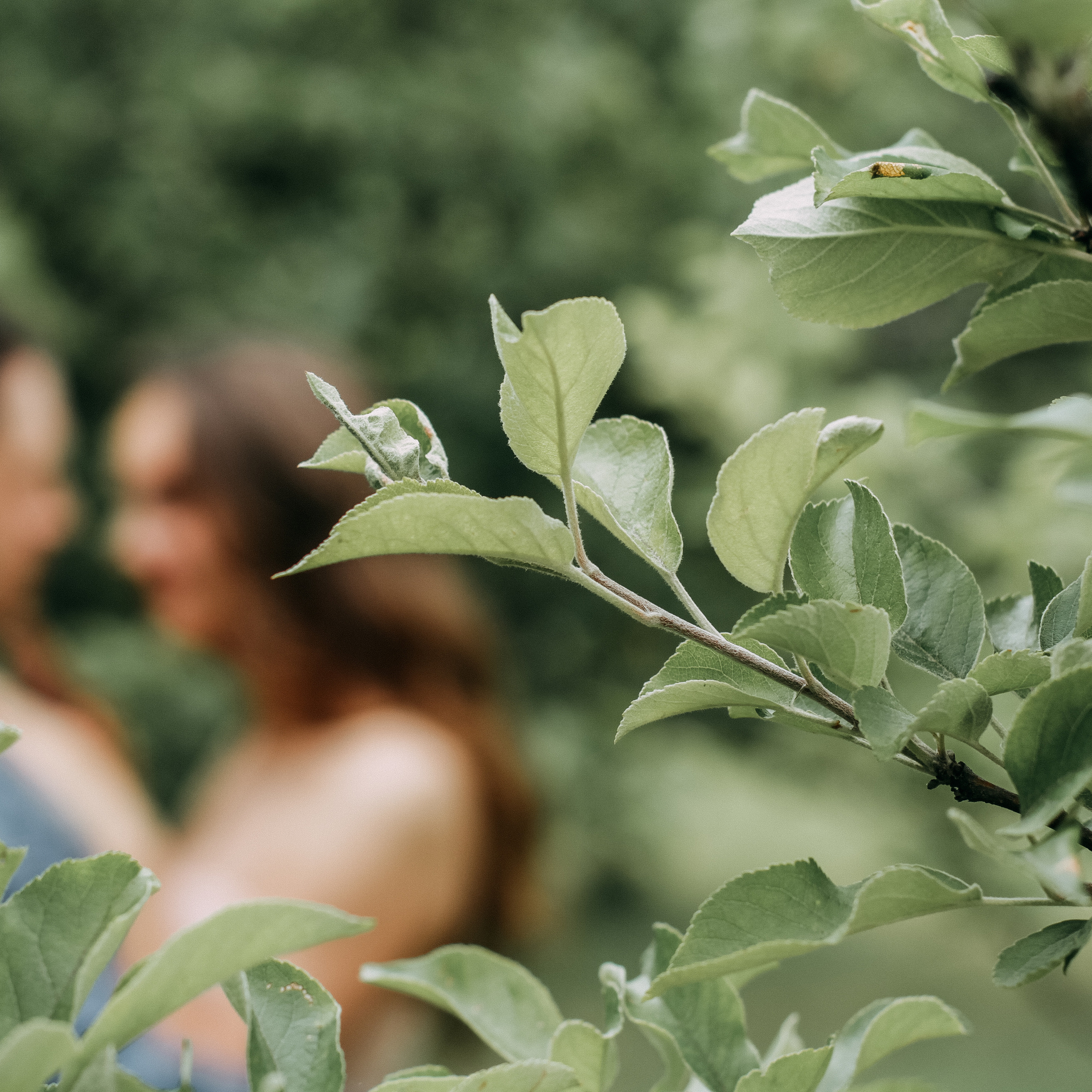 LOVE STORY & FAMILY. Фотограф Настя Полякова Дубна Талдом Кимры Москва