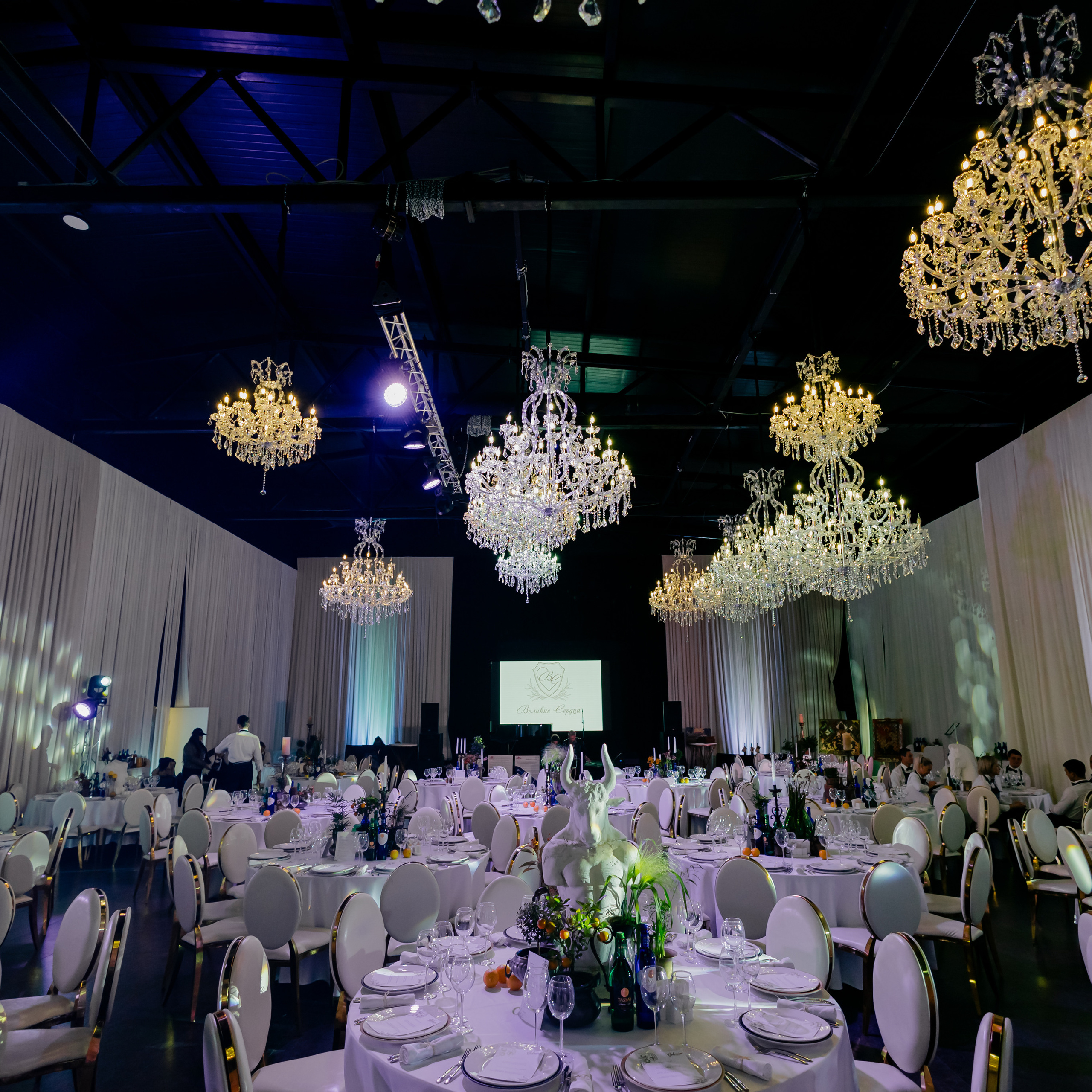 Отзывы. Светский фотограф — Анисина Ирина