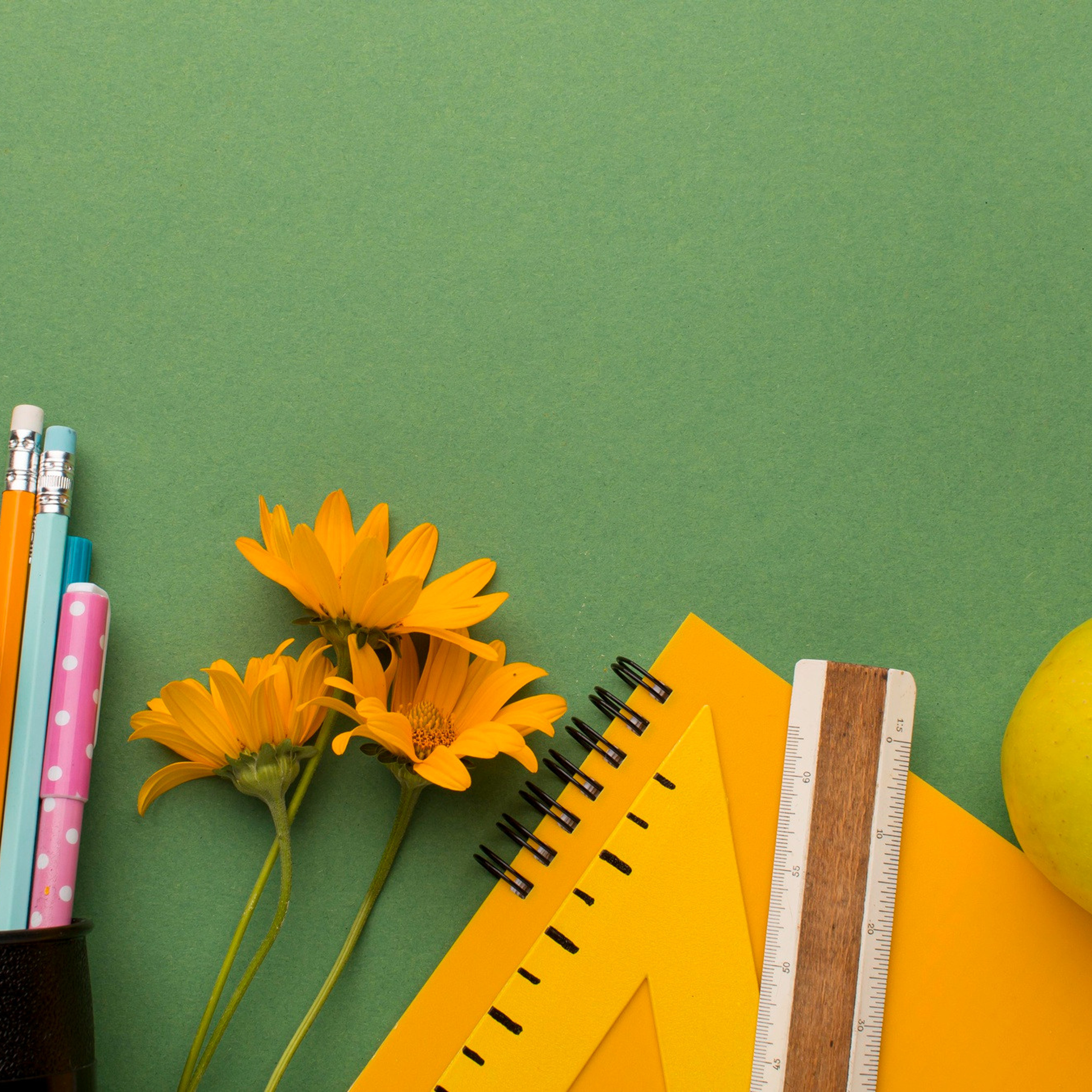 Отзывы. Светский фотограф — Анисина Ирина