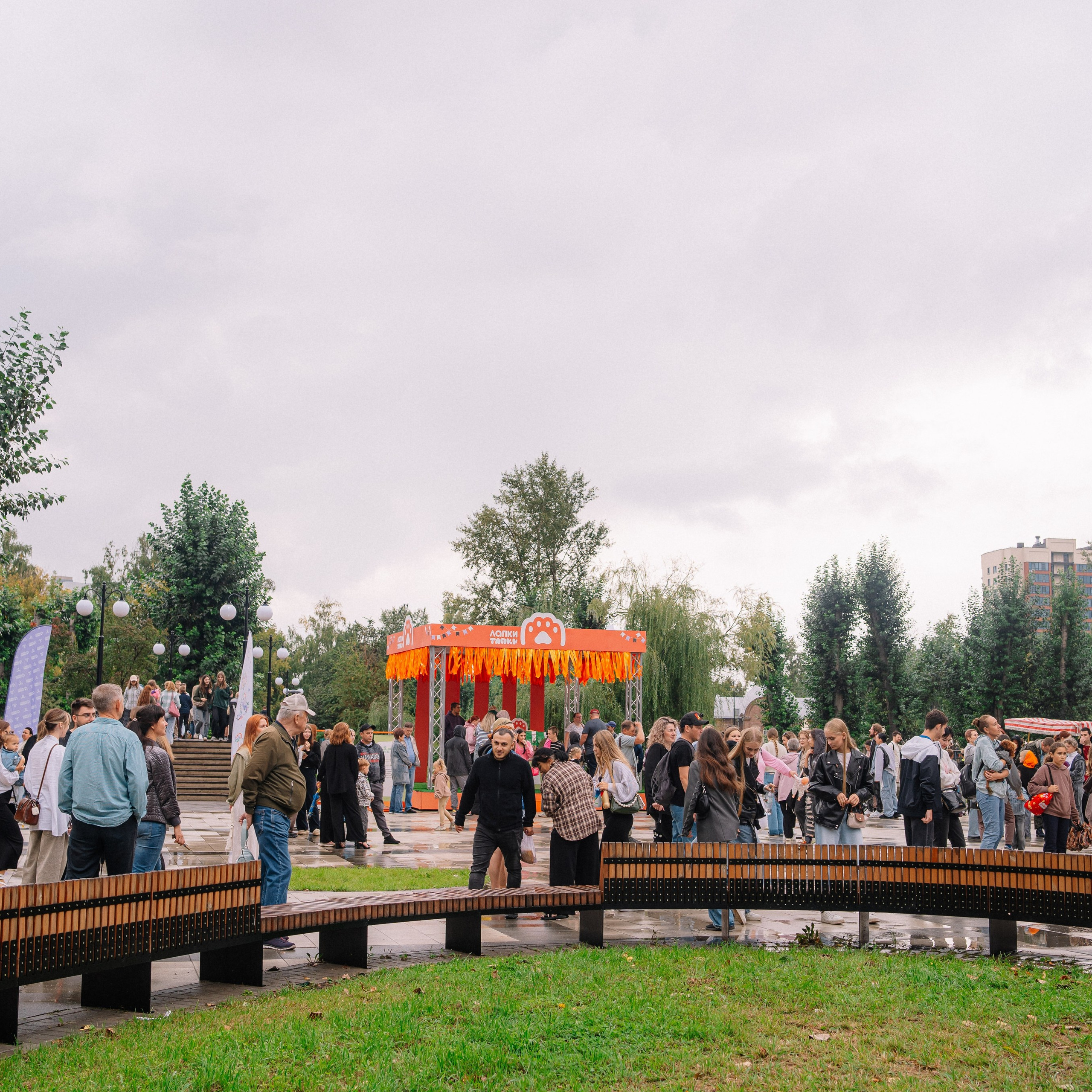 Фотоотчет ЛАПКИ ТАПКИ в Барнауле. Репортажный (Event) фотограф в Барнауле | Даниил Маркин | Качество и вайб