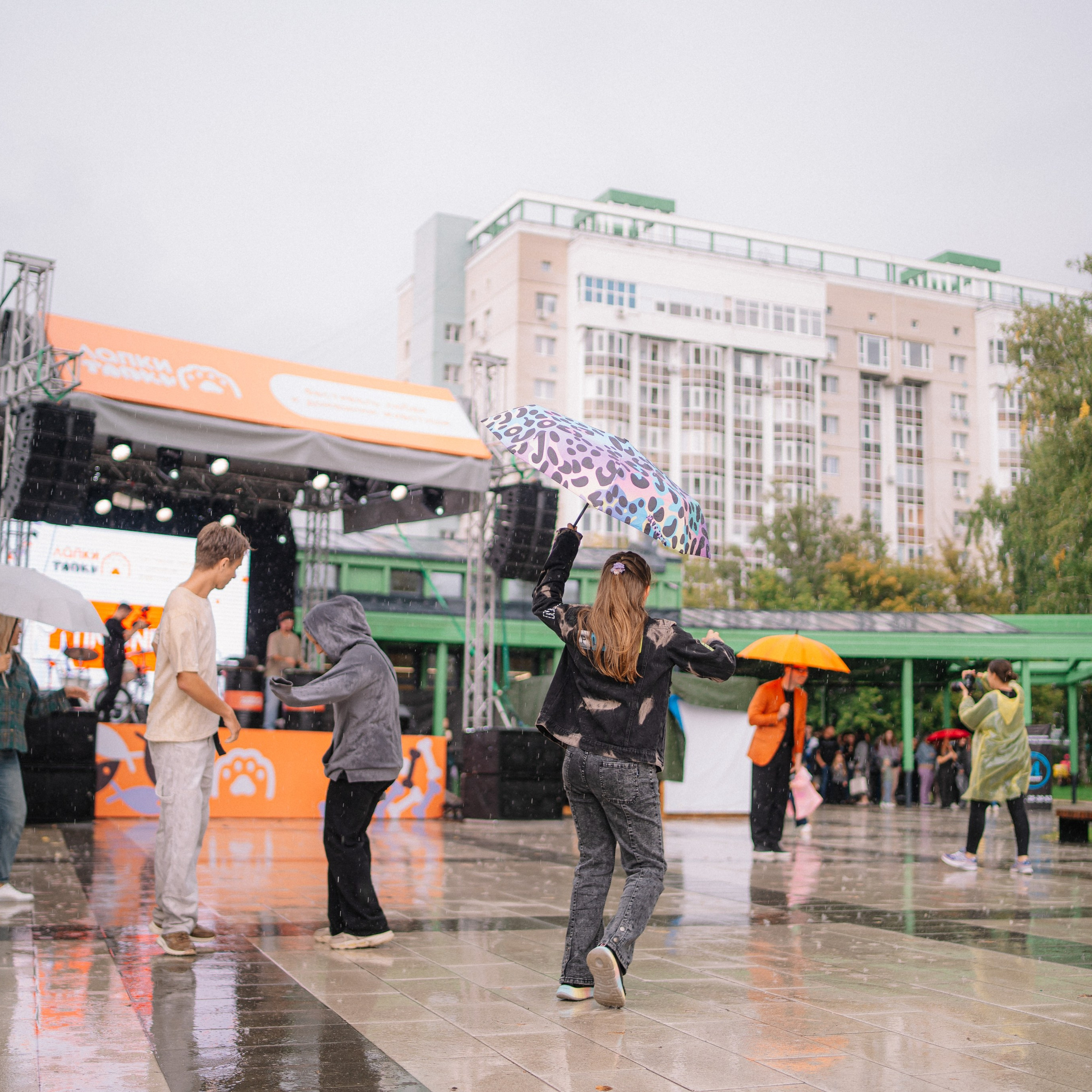 Фотоотчет ЛАПКИ ТАПКИ в Барнауле. Репортажный (Event) фотограф в Барнауле | Даниил Маркин | Качество и вайб