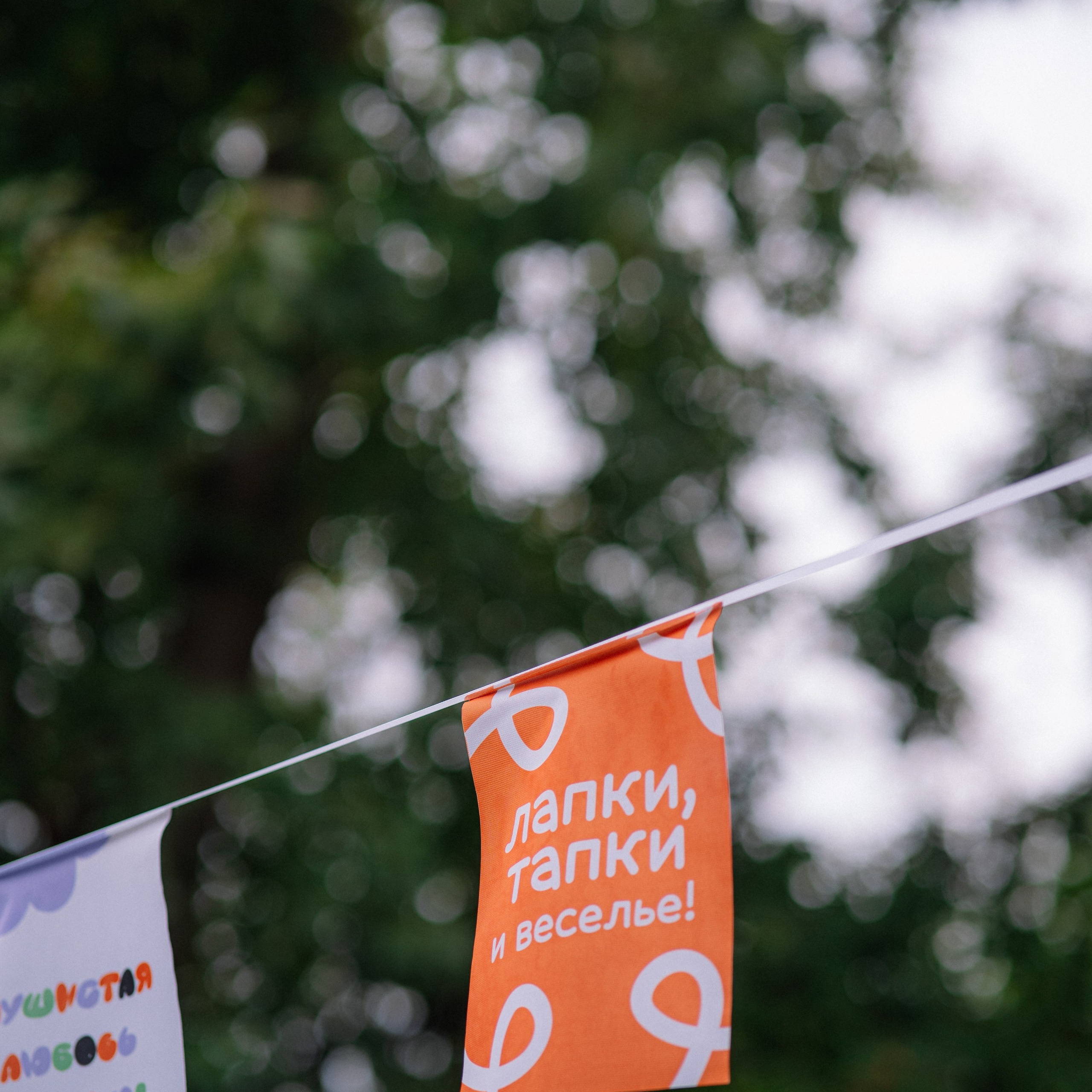 Фотоотчет ЛАПКИ ТАПКИ в Барнауле. Репортажный (Event) фотограф в Барнауле | Даниил Маркин | Качество и вайб