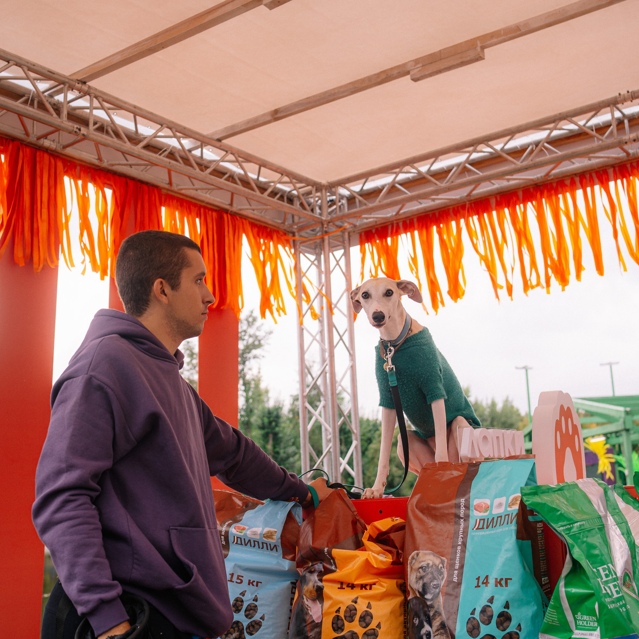 Фотоотчет ЛАПКИ ТАПКИ в Барнауле. Репортажный (Event) фотограф в Барнауле | Даниил Маркин | Качество и вайб
