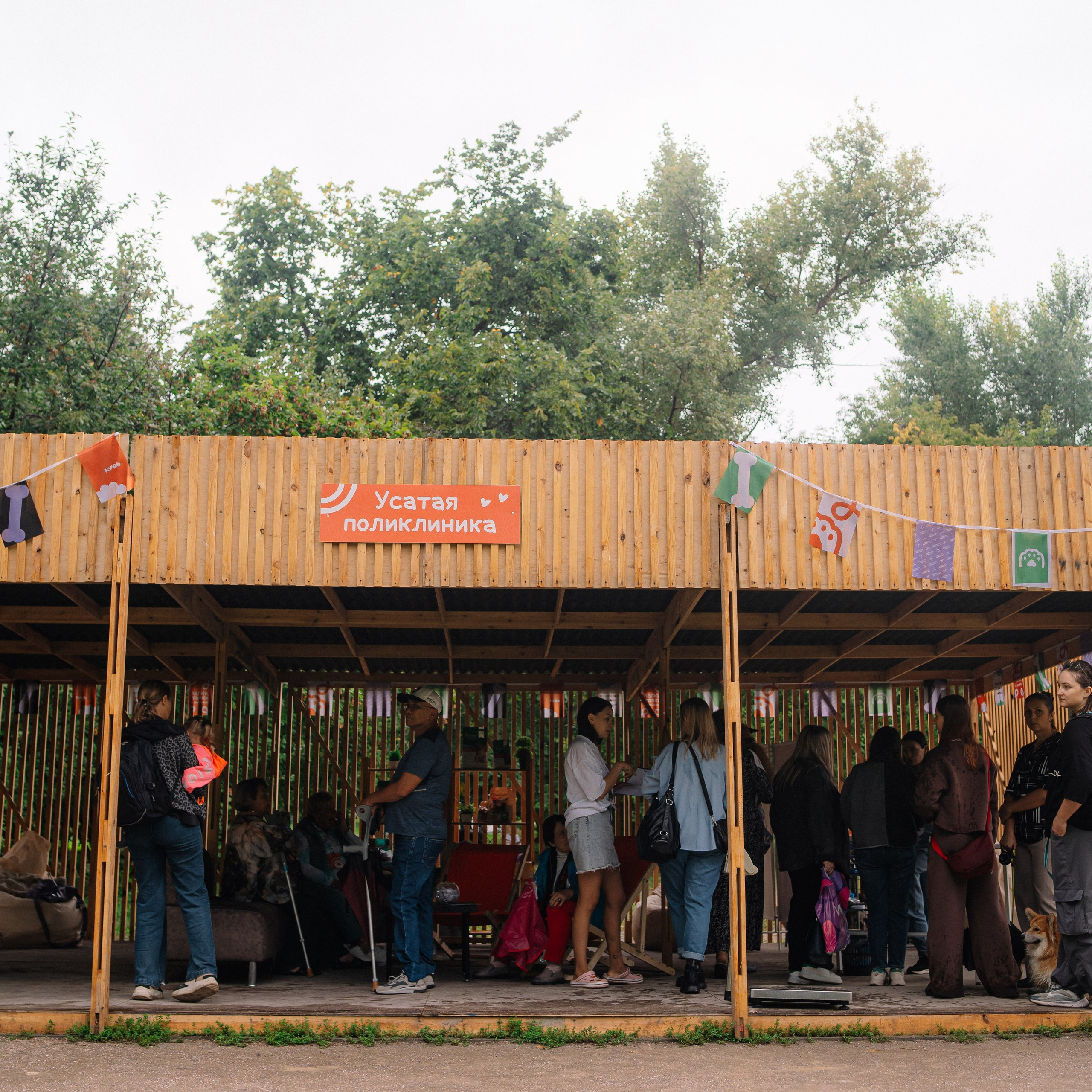 Фотоотчет ЛАПКИ ТАПКИ в Барнауле. Репортажный (Event) фотограф в Барнауле | Даниил Маркин | Качество и вайб