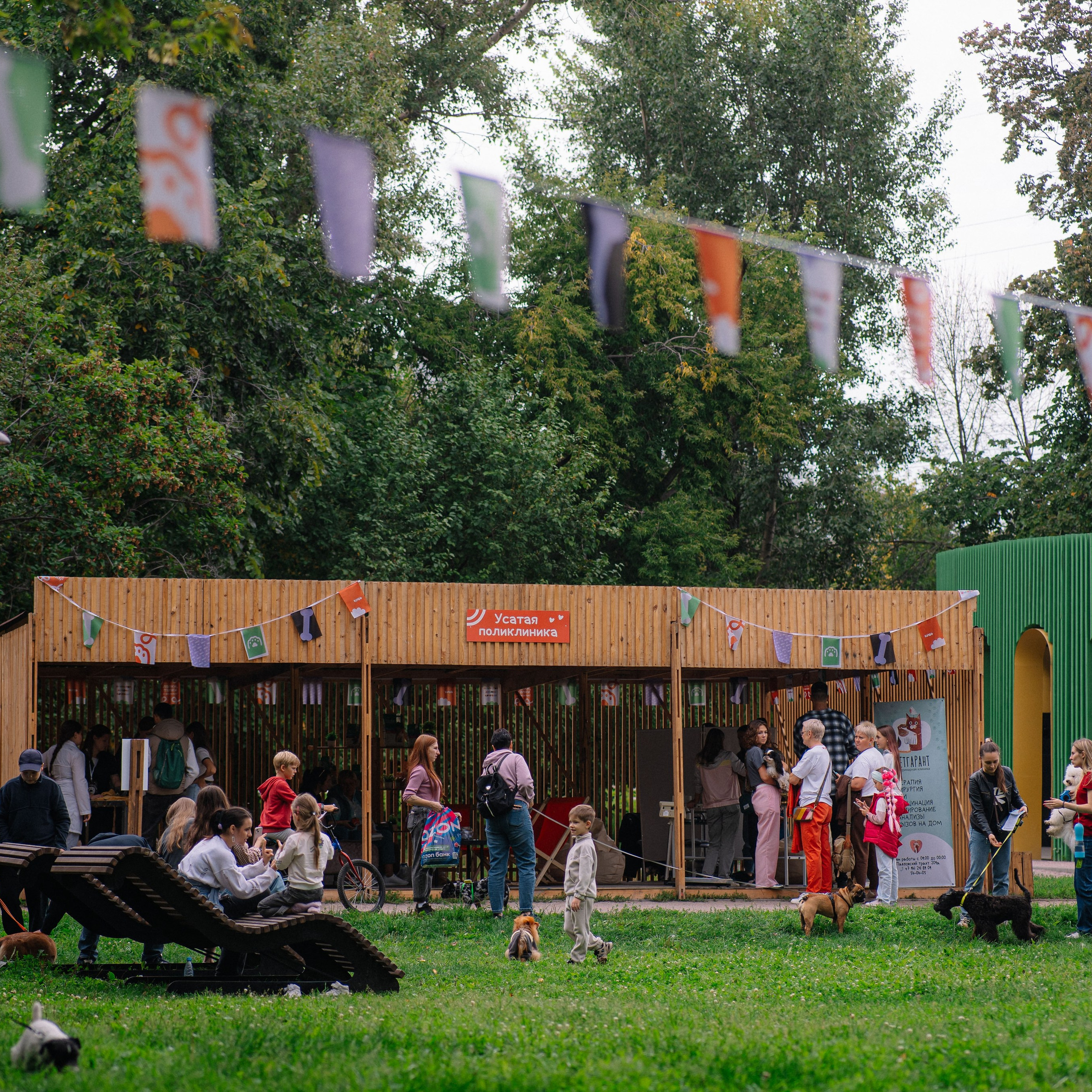 Фотоотчет ЛАПКИ ТАПКИ в Барнауле. Репортажный (Event) фотограф в Барнауле | Даниил Маркин | Качество и вайб