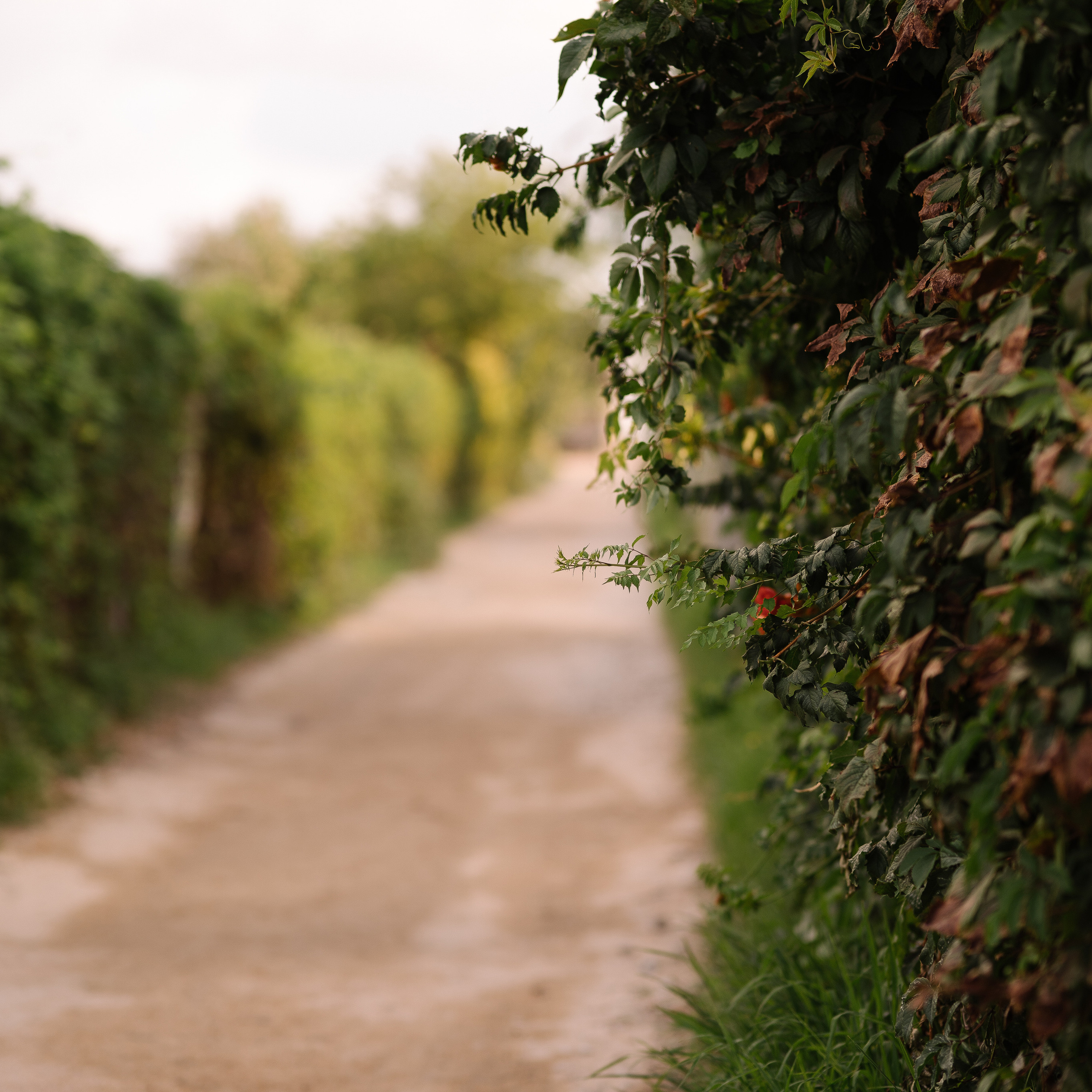 Отзывы. Искренний фотограф