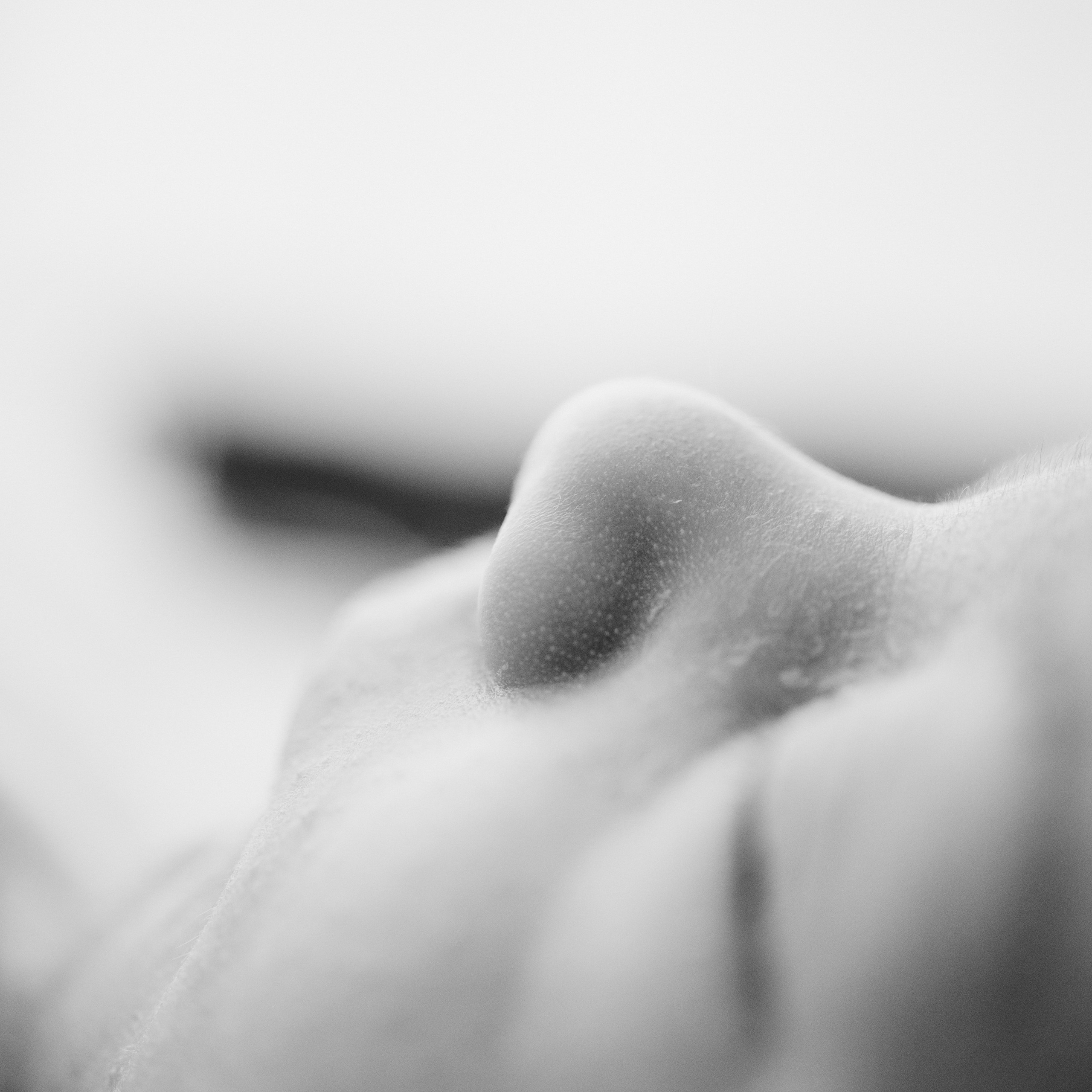 Фотограф Уфа / новорожденные, беременность, семейная фотосессия, фотосессия 1 годик, свадьба