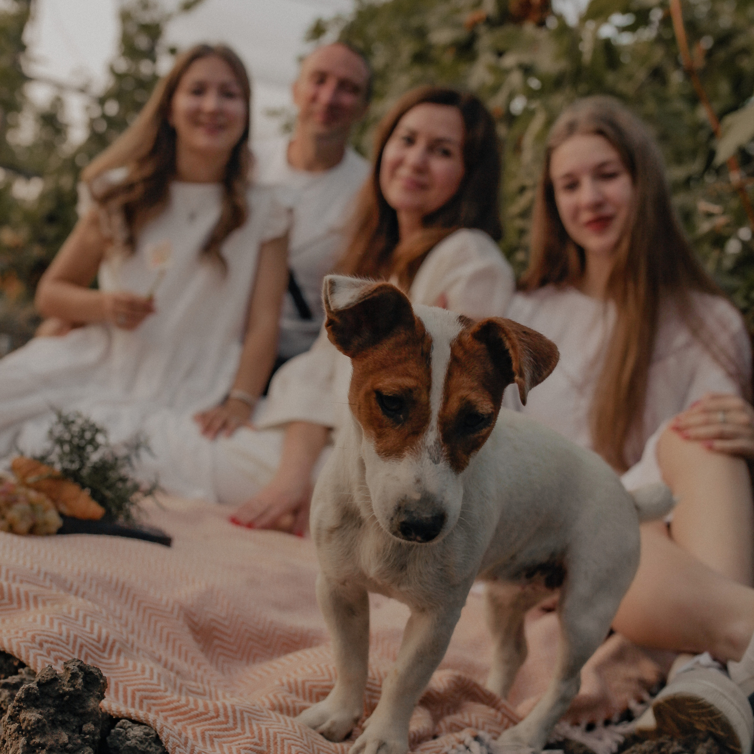 Отзывы. Фотограф в Петербурге Ольга Стрельченко