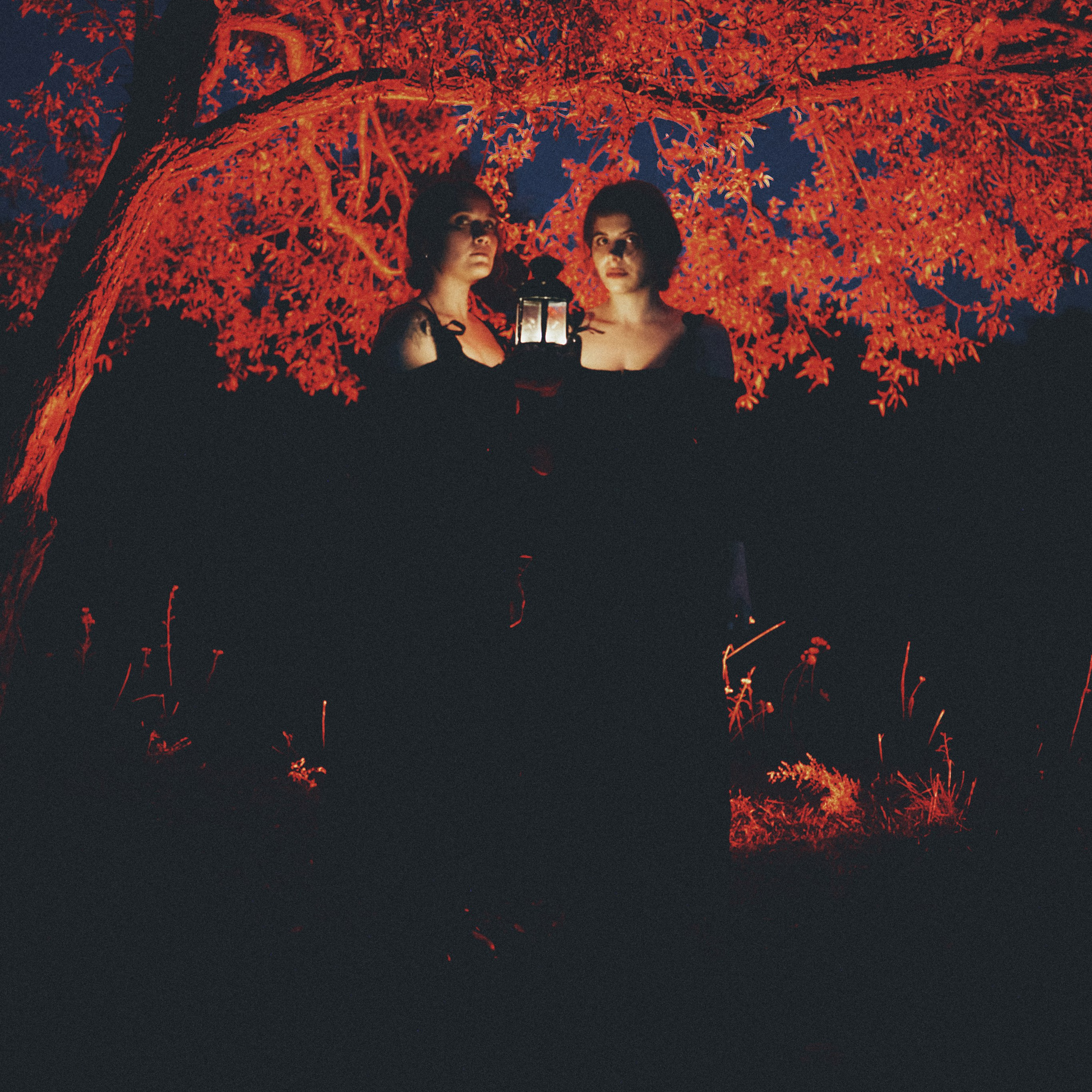 Отзывы клиентов. Фотограф в Хабаровске Дмитрий Лемешков